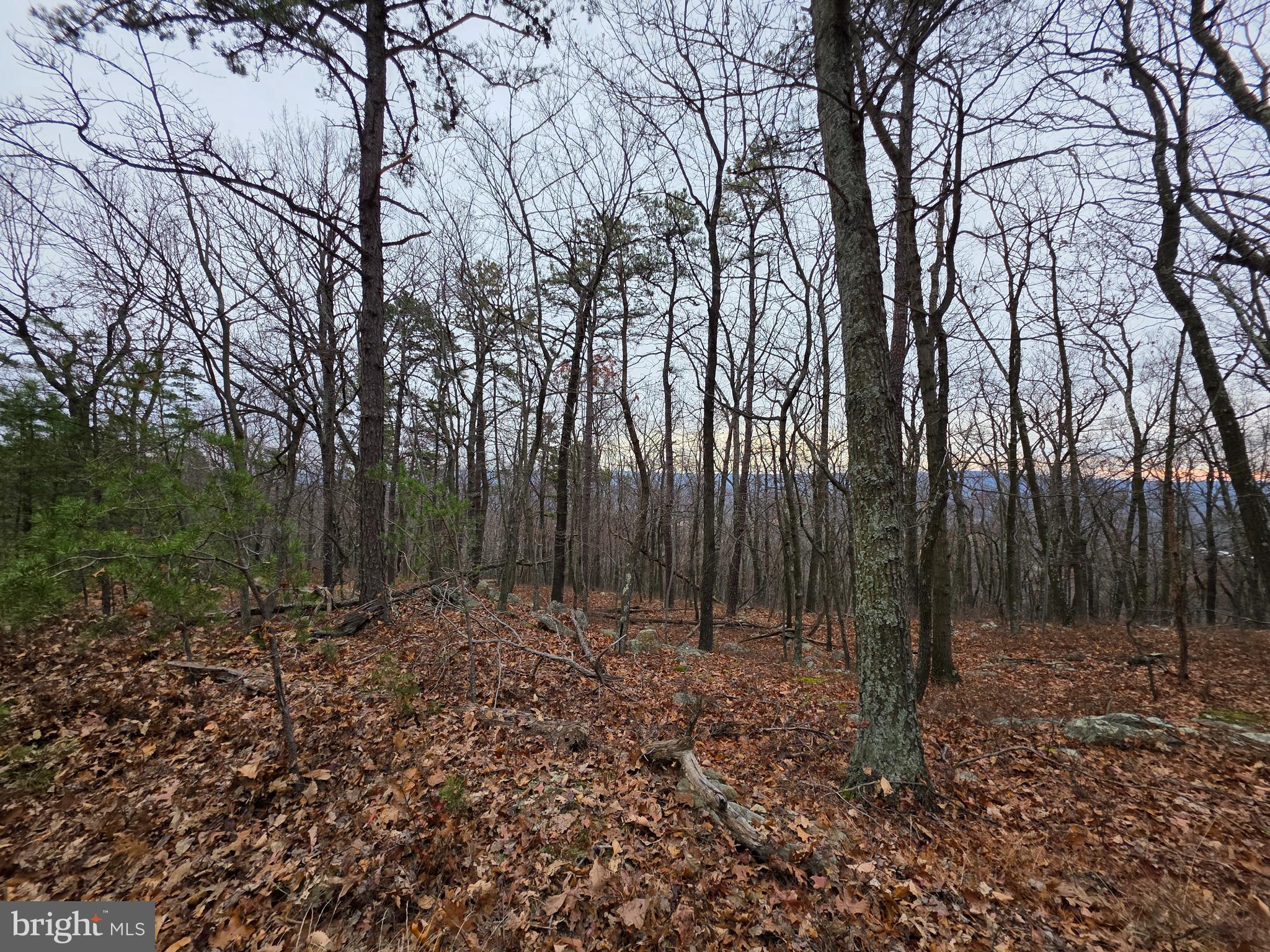 Lot 38 BREAKEVEN LANE SEC V,