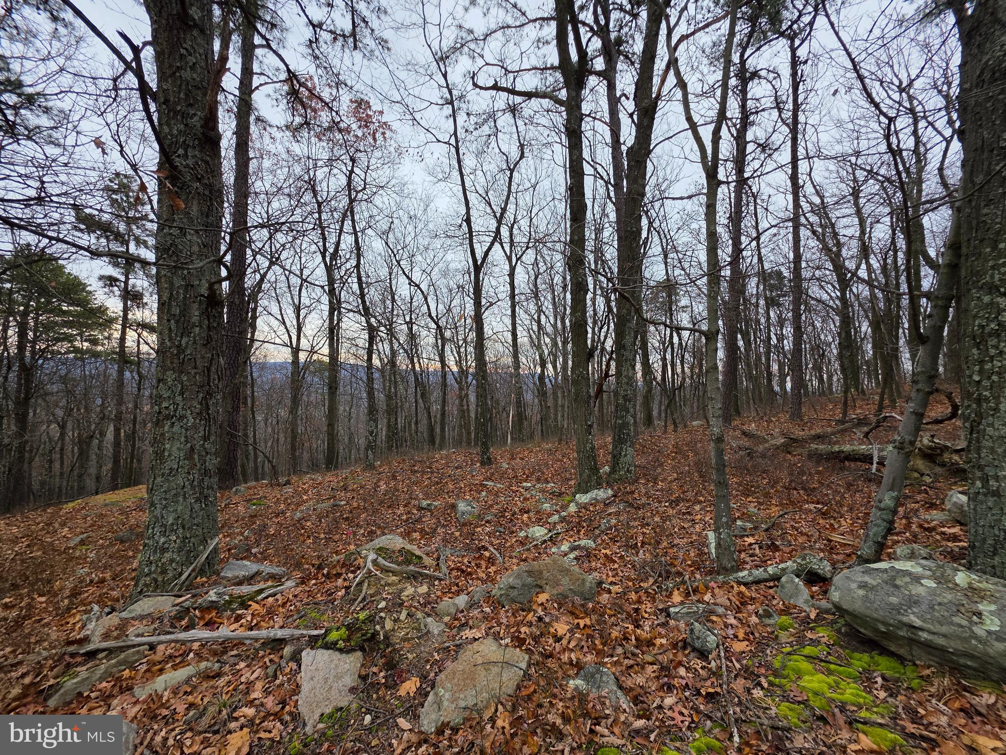 Lot 38 BREAKEVEN LANE SEC V,