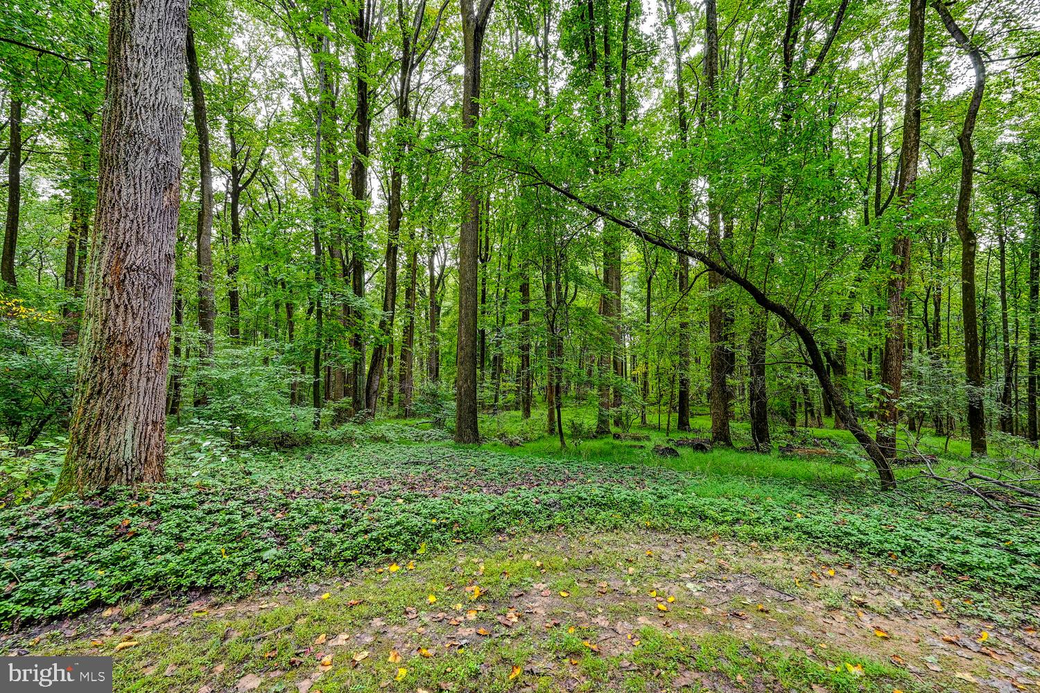 EAGLES NEST - Residential