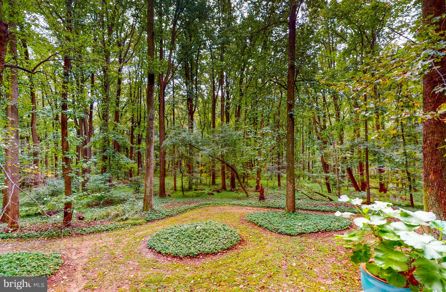 EAGLES NEST - Residential