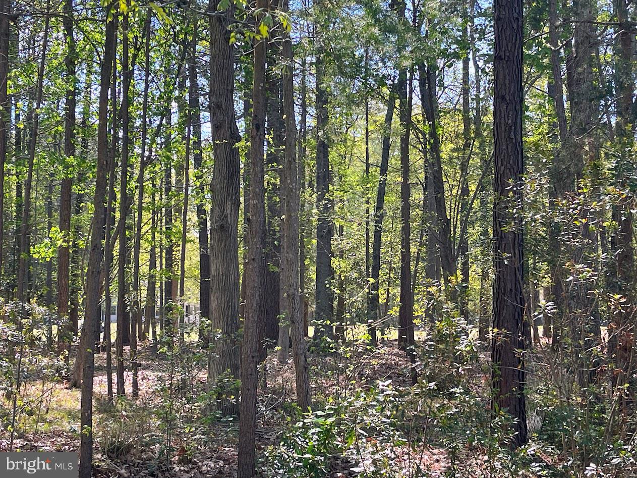 11235 ANNABELLE DRIVE