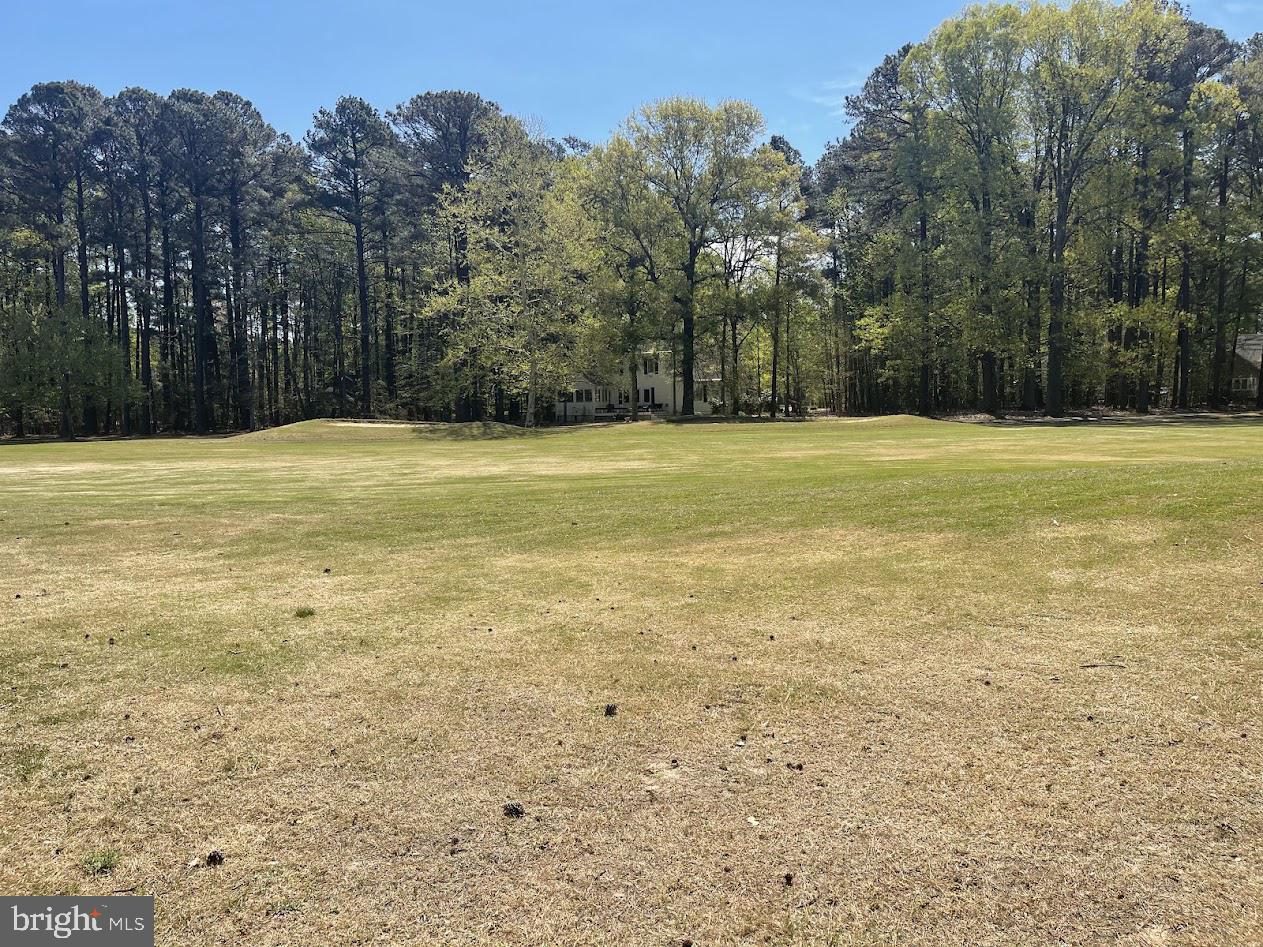 11235 ANNABELLE DRIVE