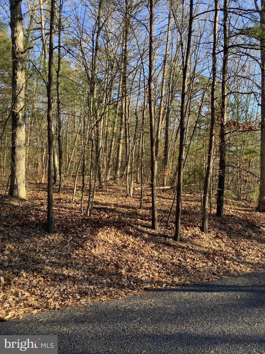 Rare find at Bryce Resort. Three (3!) contiguous level wooded lots being sold as one tract. Or can build on lot individually. Perfect for your weekend getaway of full time residence. Close to all resort amenities: golf, skiing, ice skating, tennis & swimming, Lake Laura.