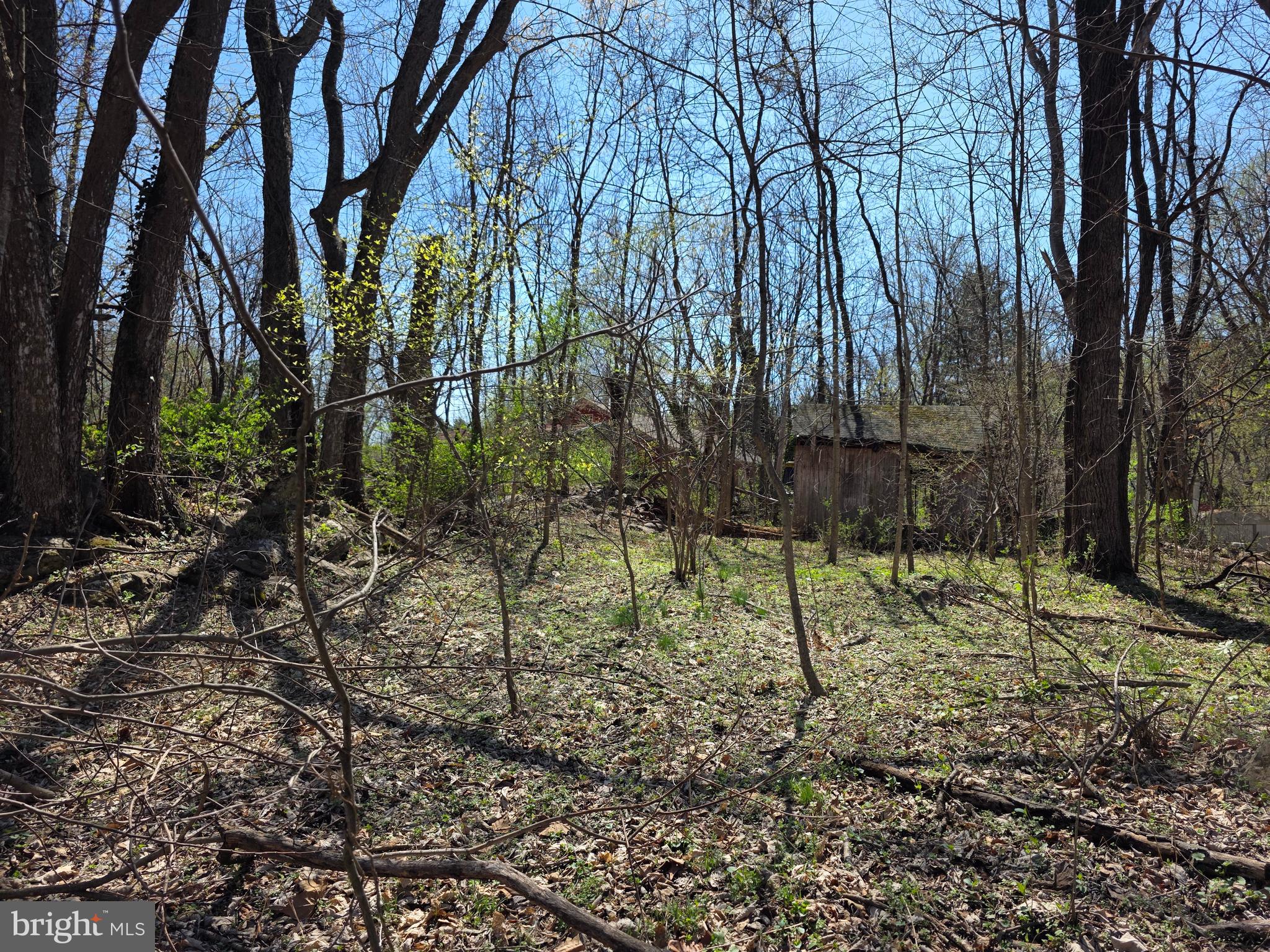 POTOMAC HILLS - Land