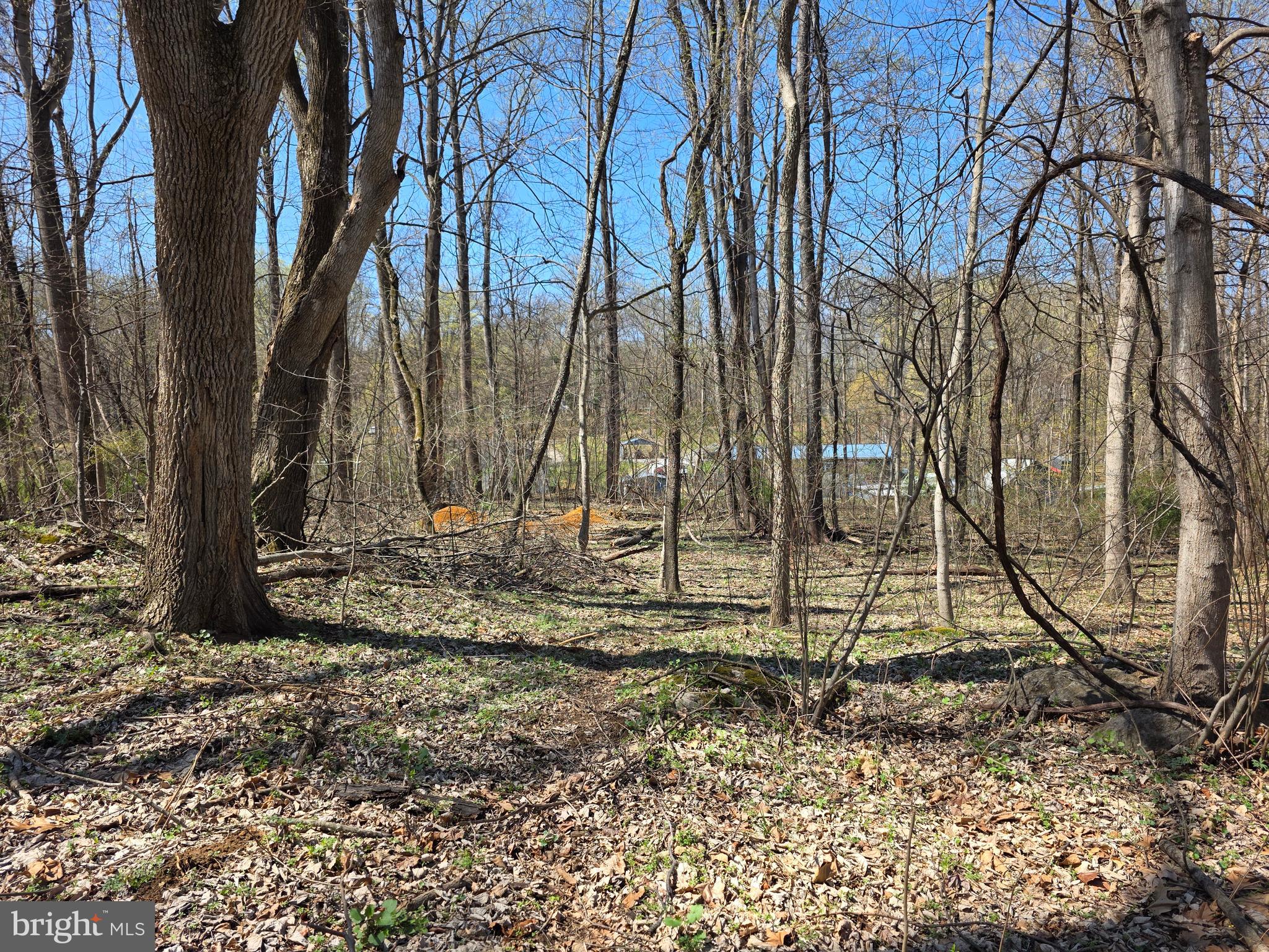 POTOMAC HILLS - Land