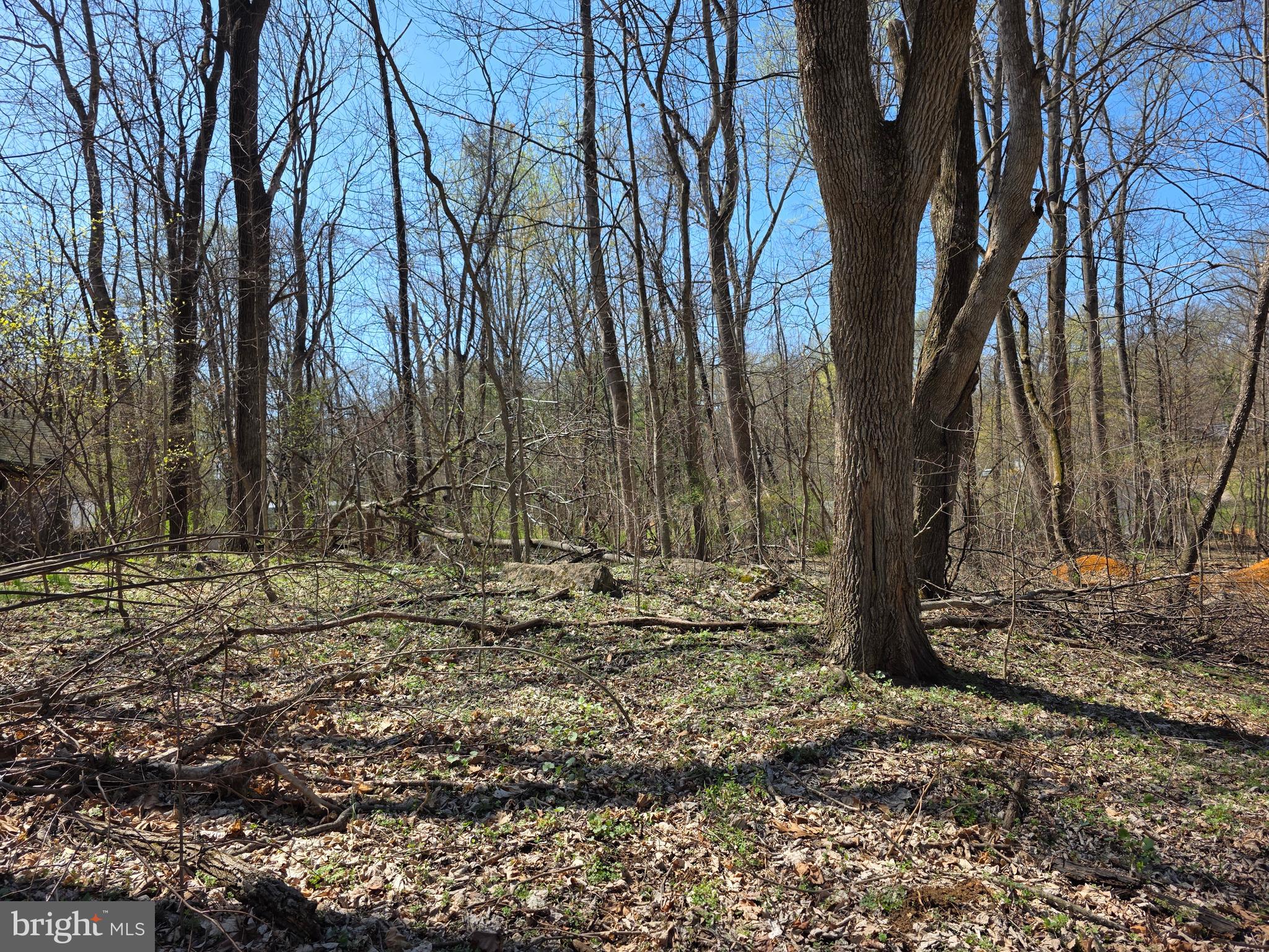 POTOMAC HILLS - Land