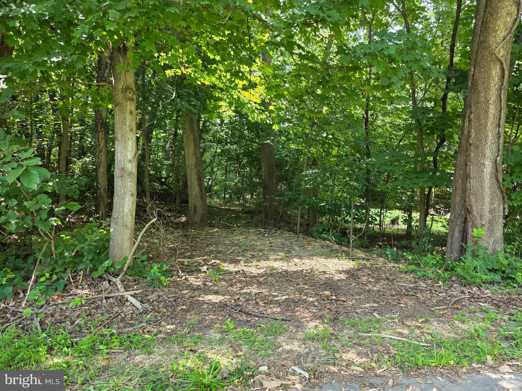 POTOMAC HILLS - Land