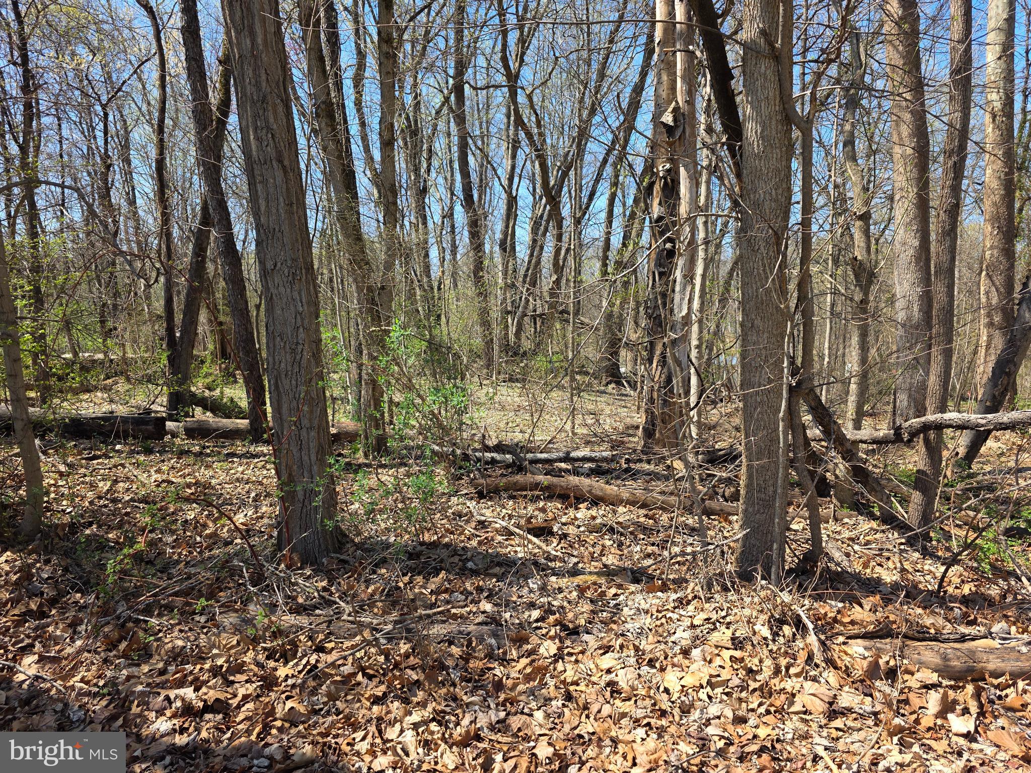 POTOMAC HILLS - Land