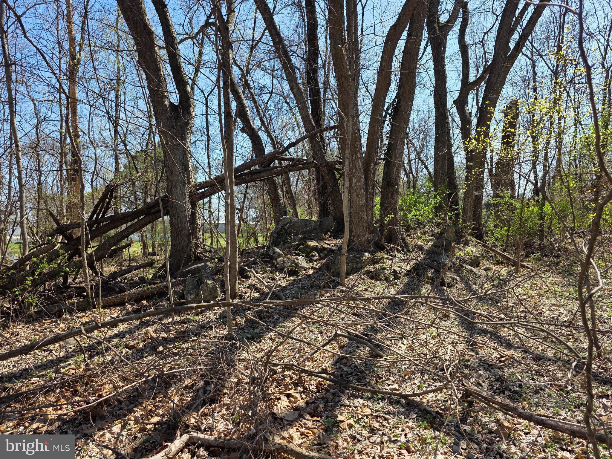 POTOMAC HILLS - Land