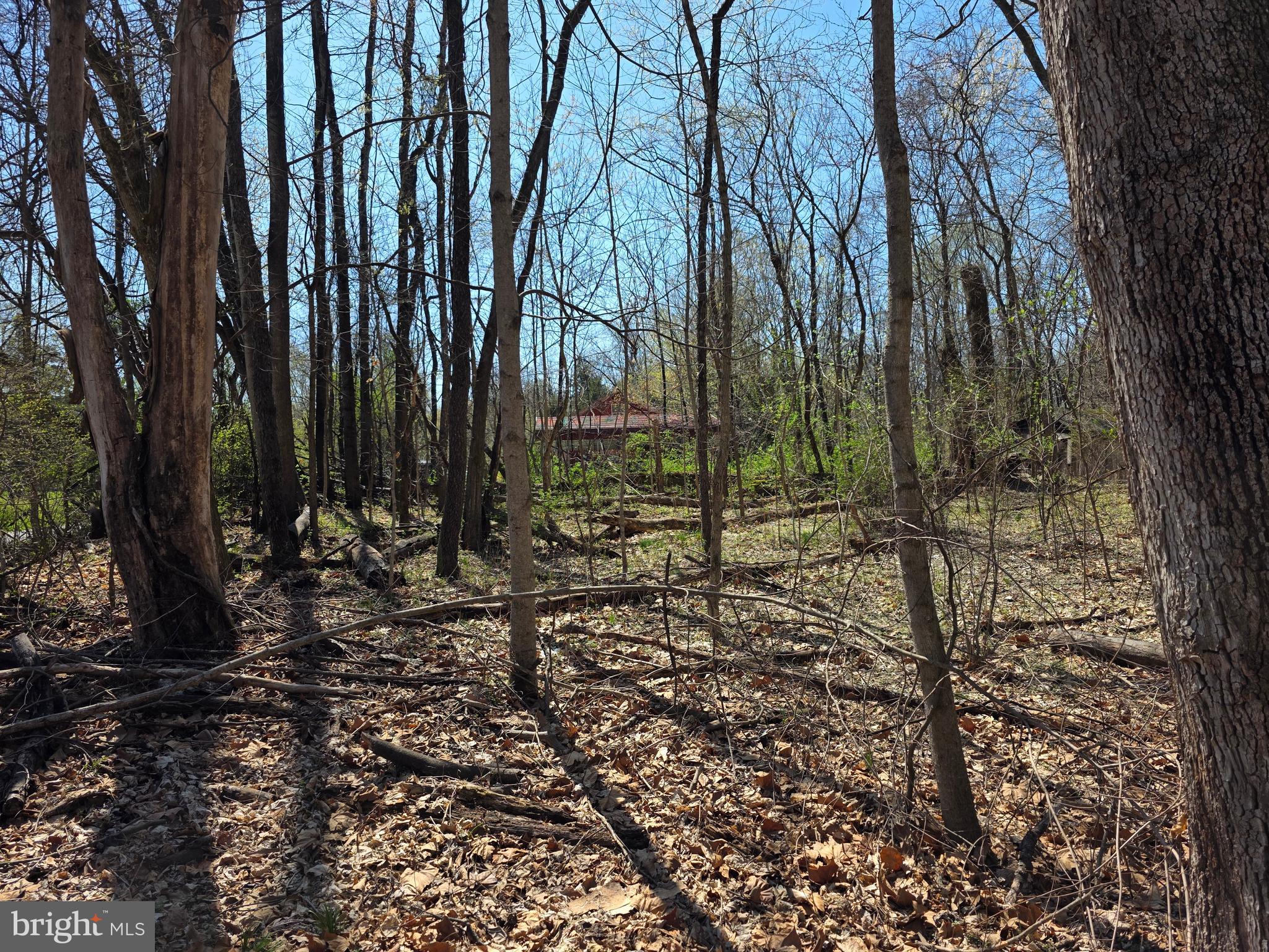 POTOMAC HILLS - Land