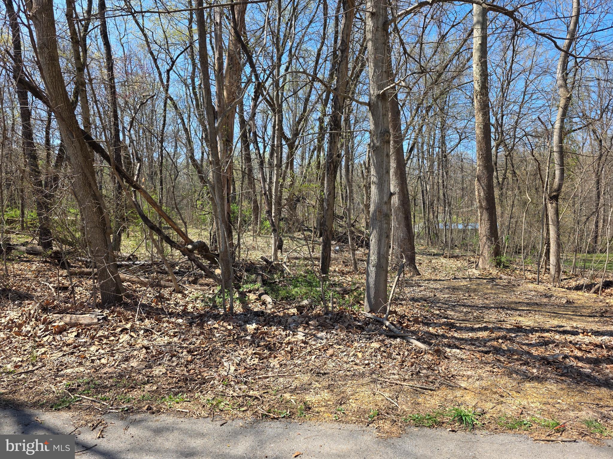 POTOMAC HILLS - Land