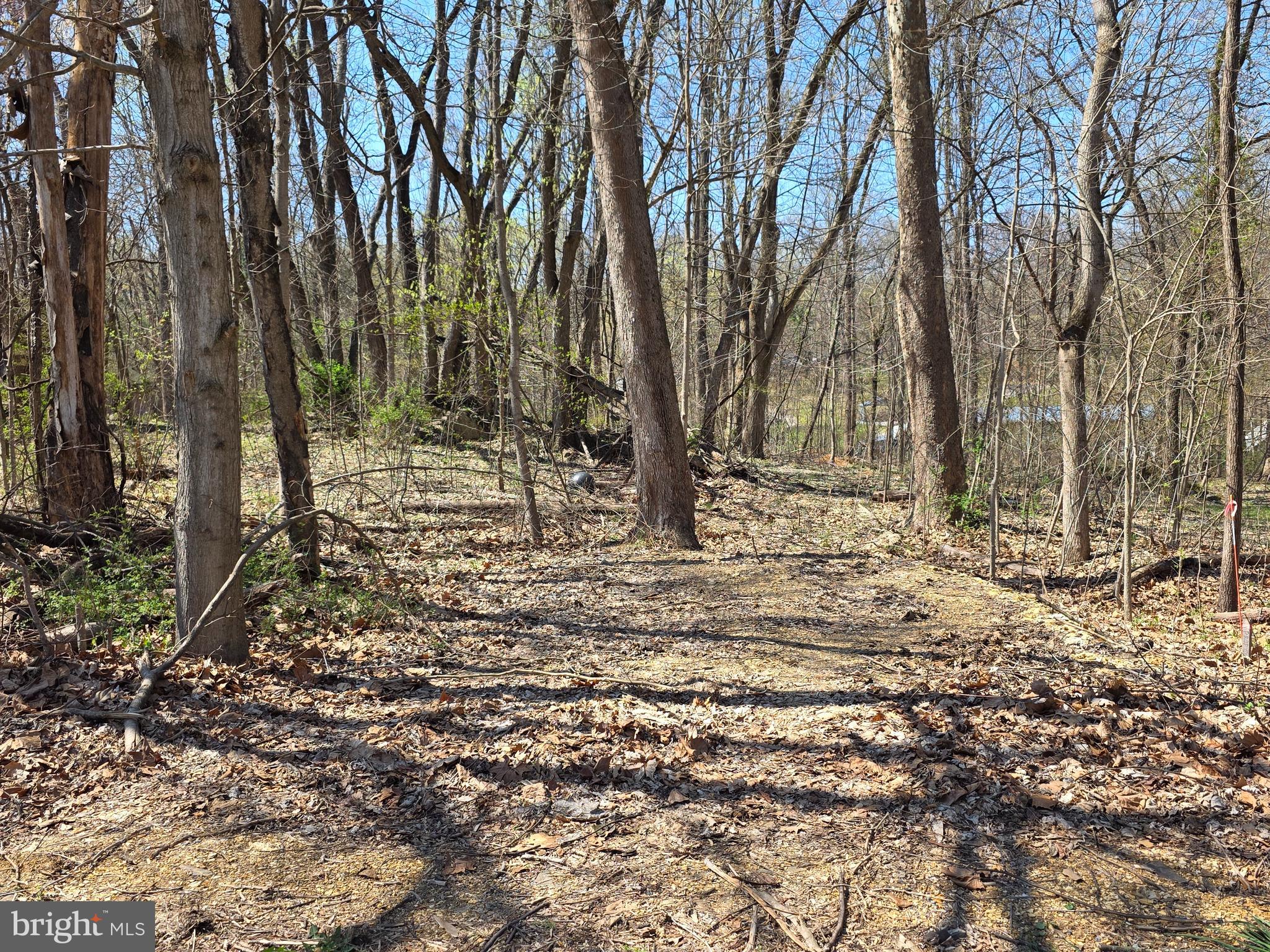 Potomac River Access! What more could you want? Class One septic system perk approved. Now your talking! Come take a look at this lot in a convenient location just a few minutes from I-81. Wooded and mostly level with a driveway installed.