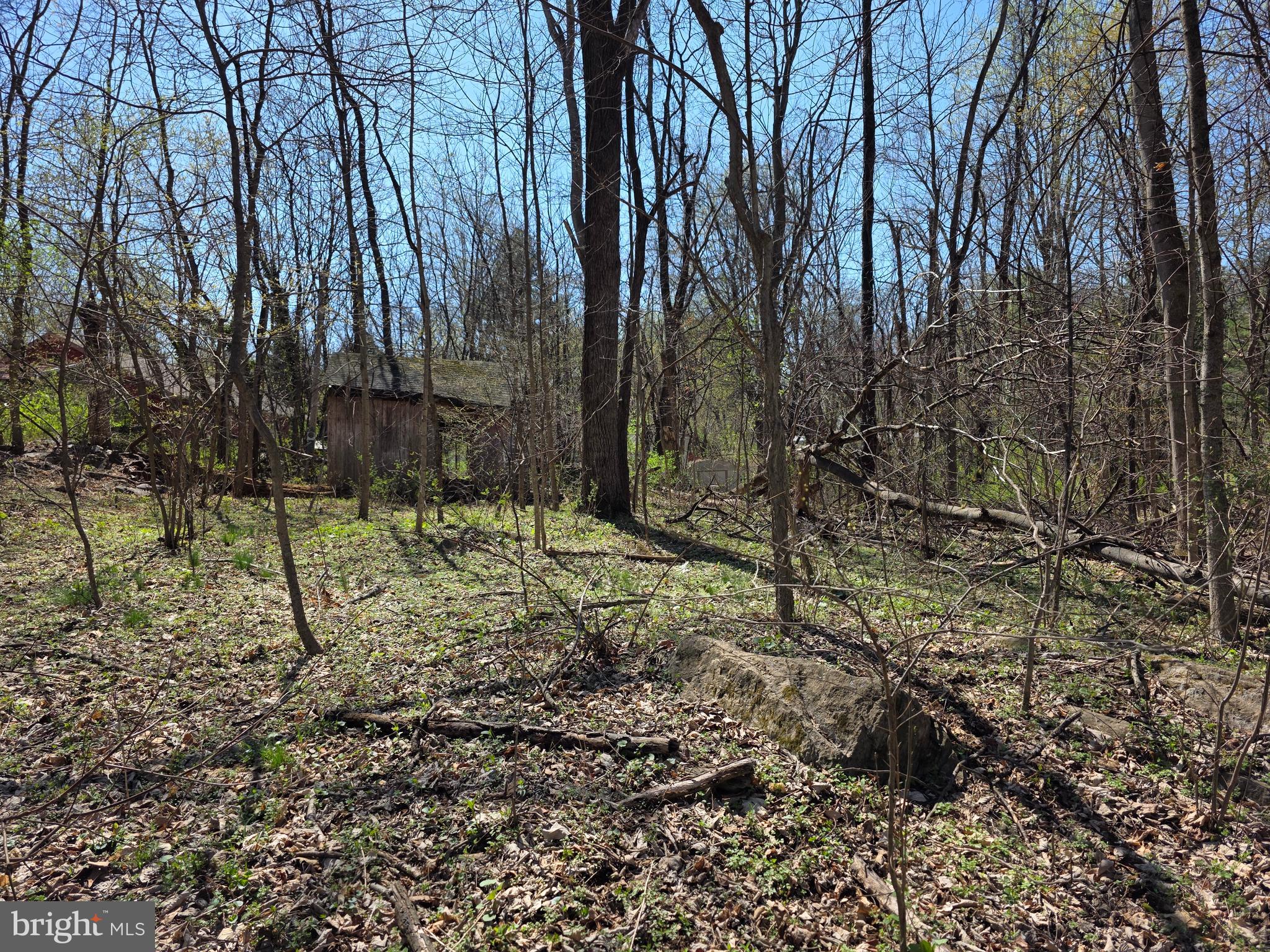 POTOMAC HILLS - Land