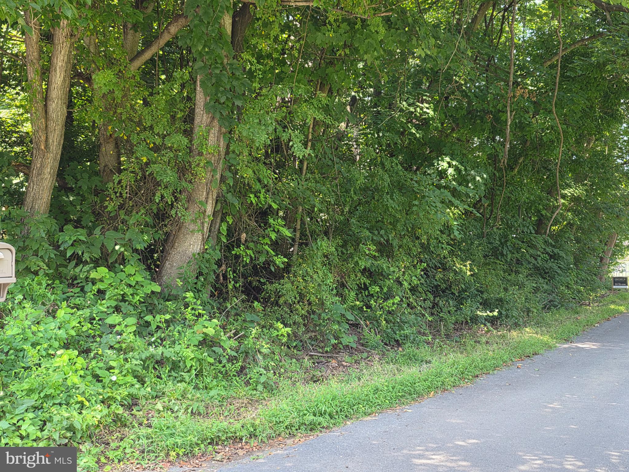 POTOMAC HILLS - Land