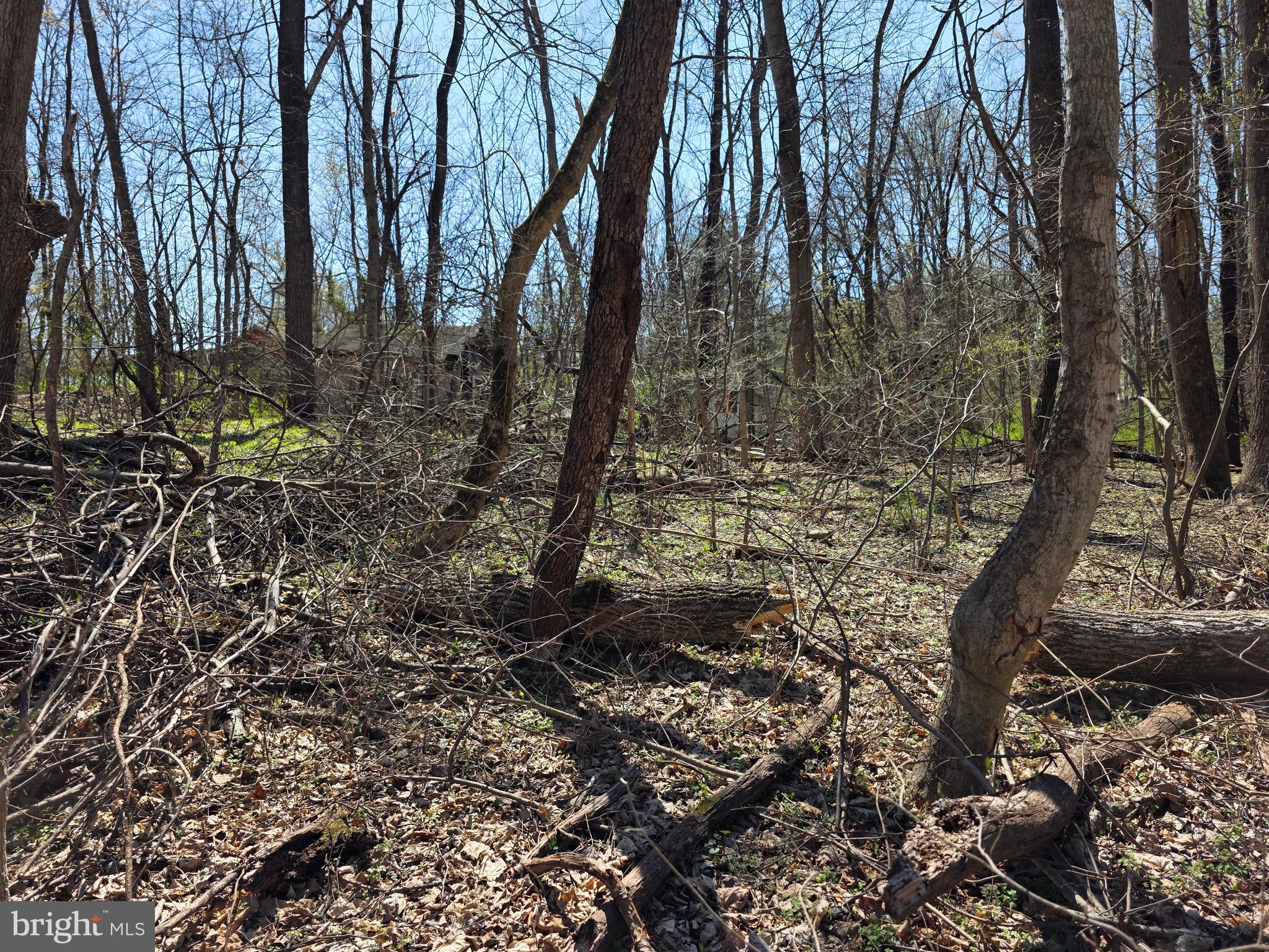 POTOMAC HILLS - Land