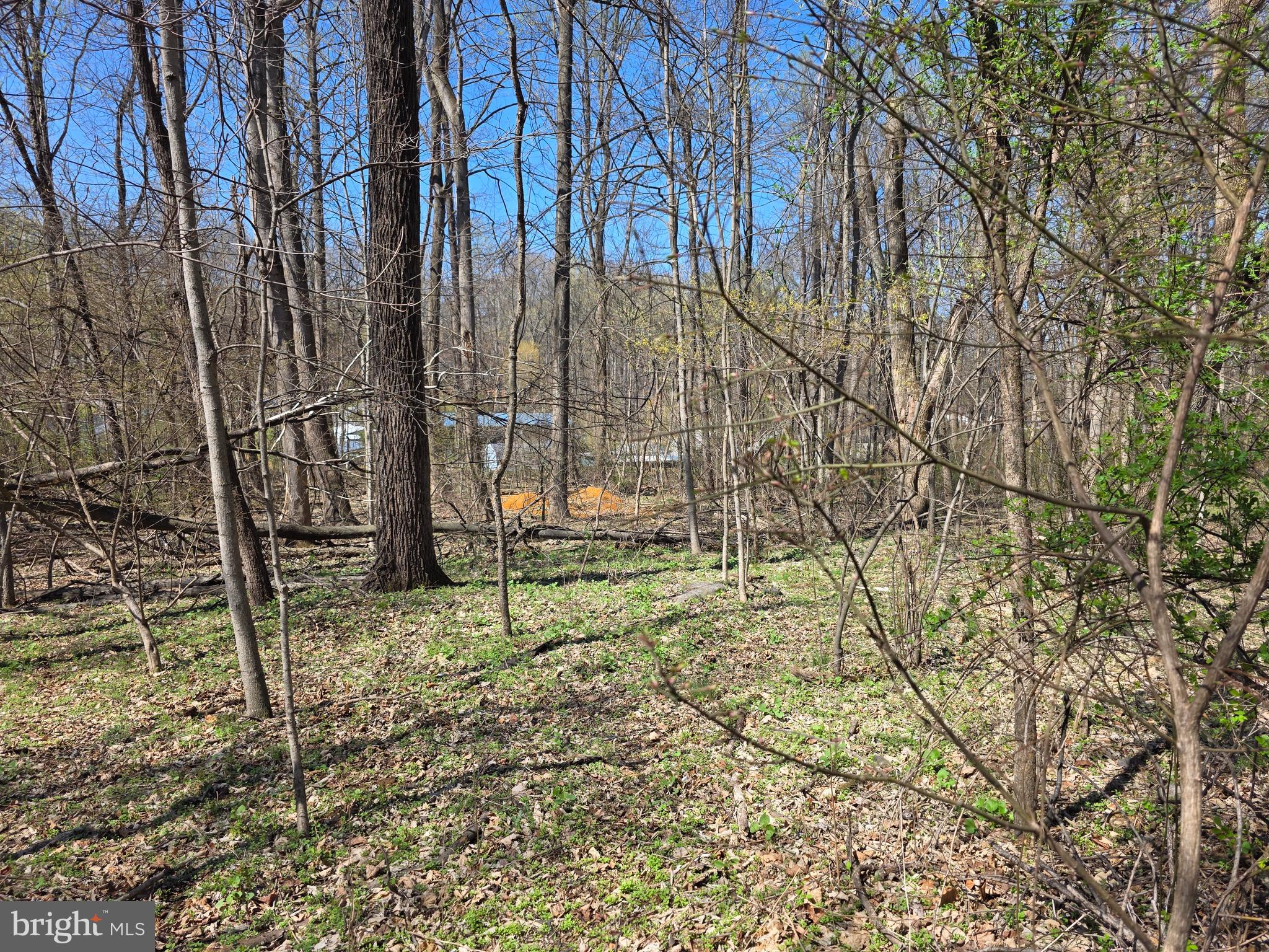 POTOMAC HILLS - Land