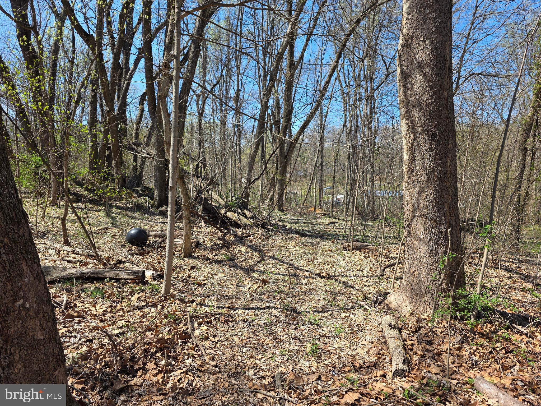 POTOMAC HILLS - Land