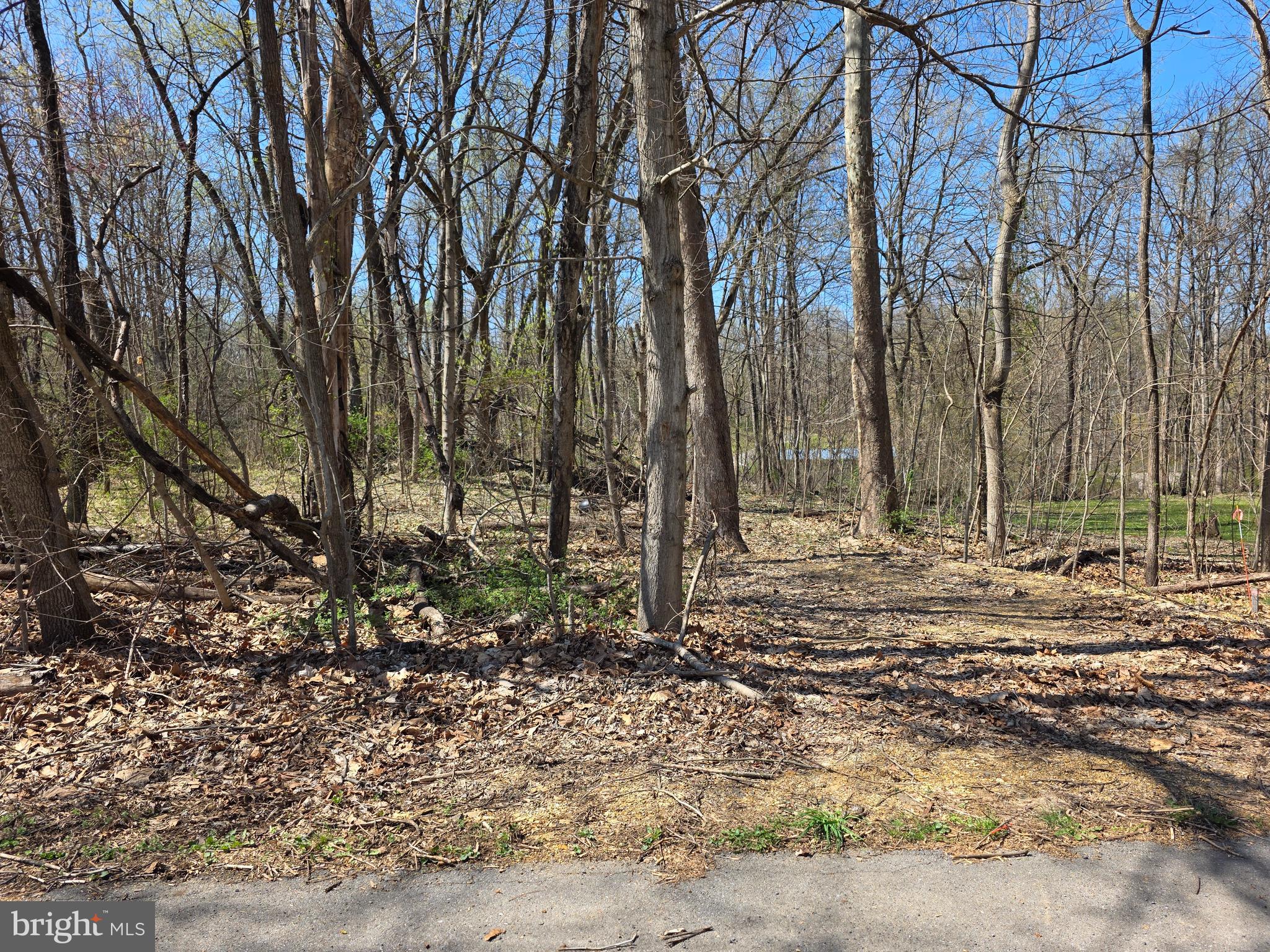 POTOMAC HILLS - Land