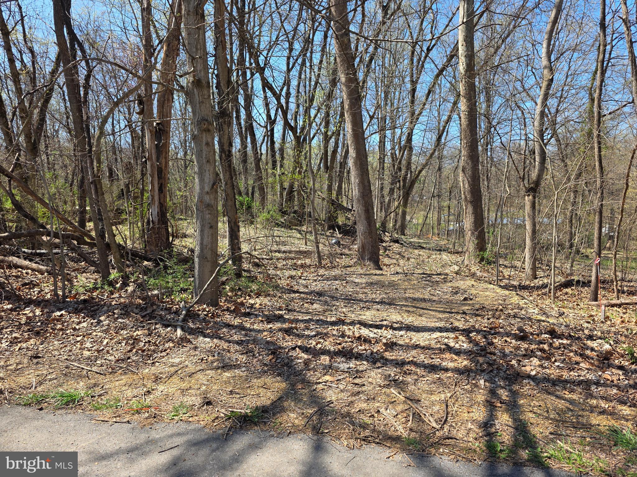 POTOMAC HILLS - Land