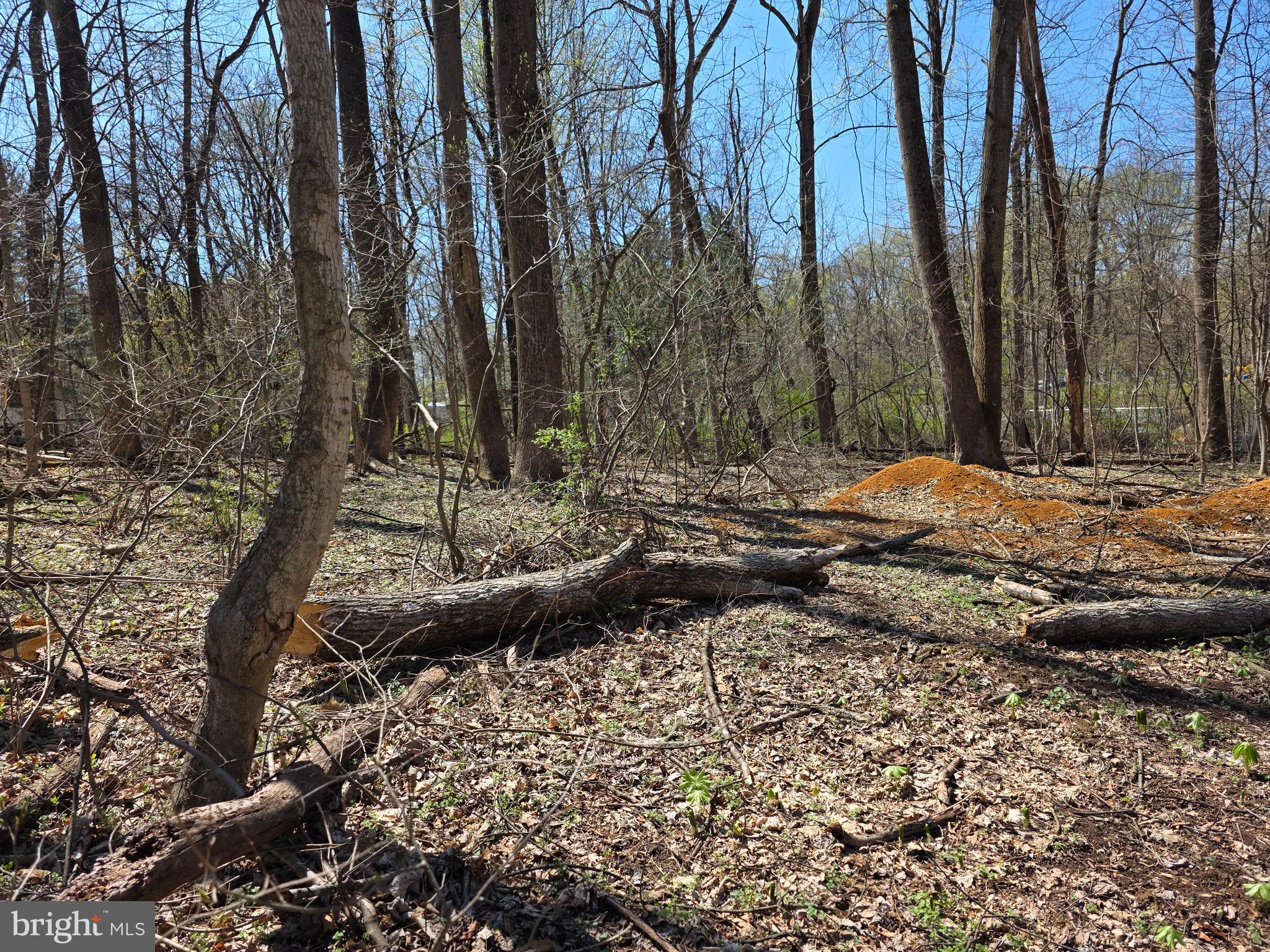 POTOMAC HILLS - Land