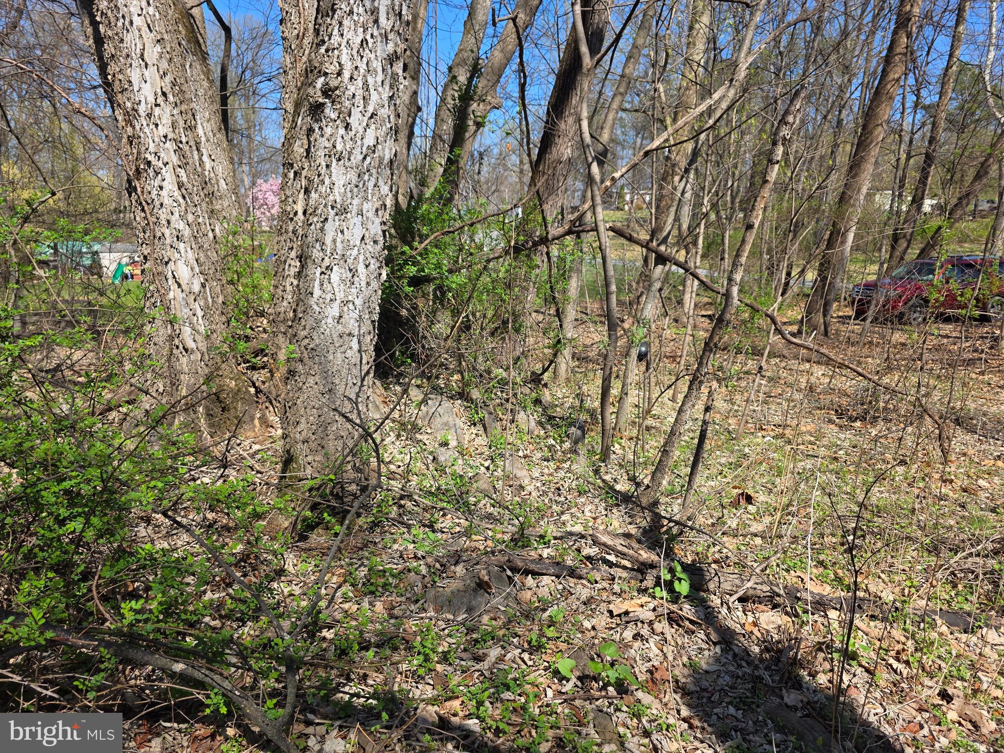 POTOMAC HILLS - Land