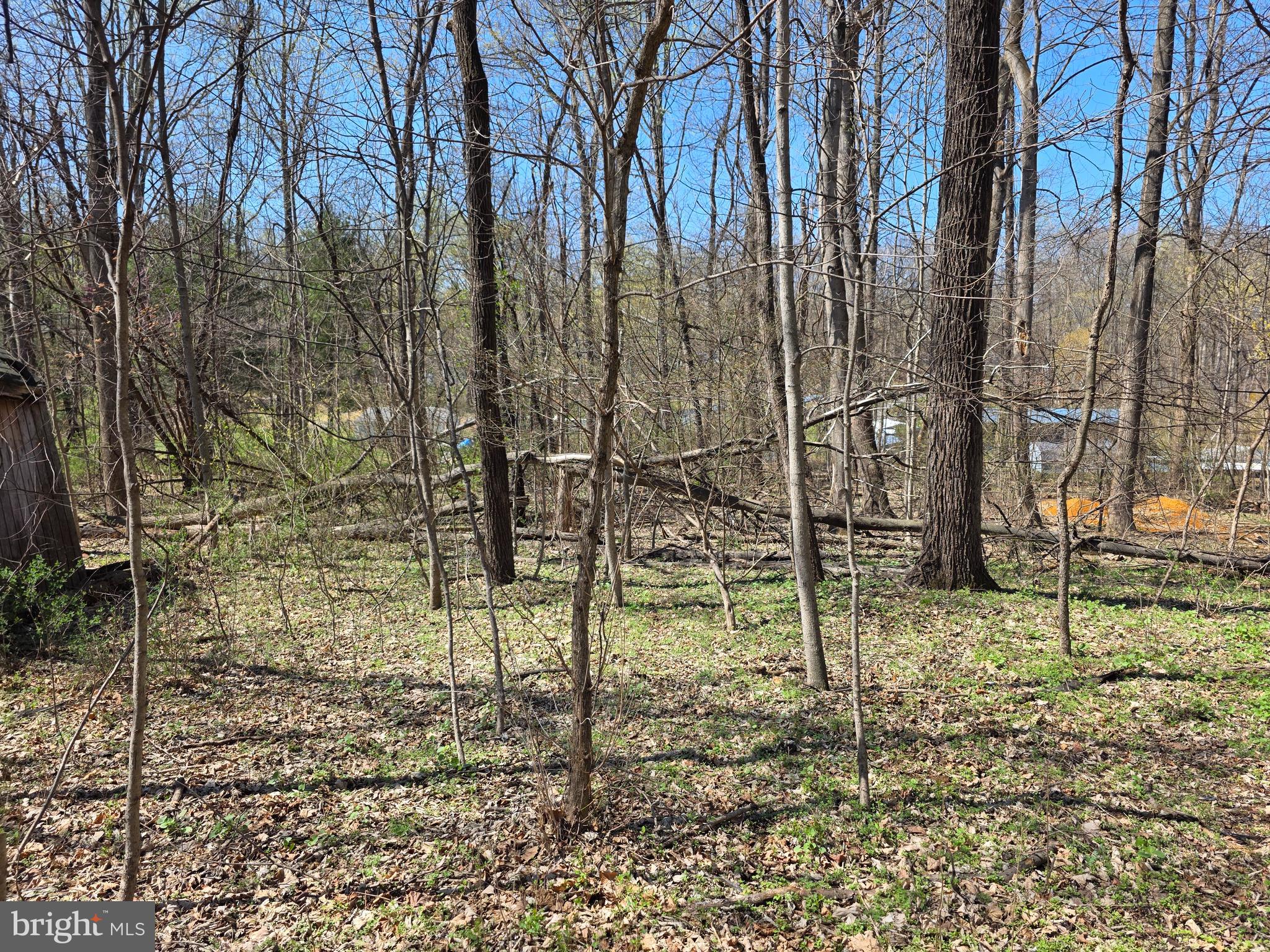 POTOMAC HILLS - Land