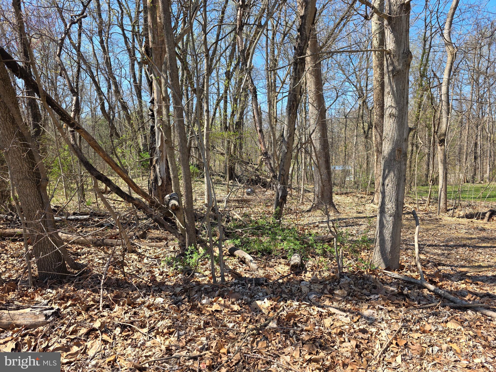 POTOMAC HILLS - Land