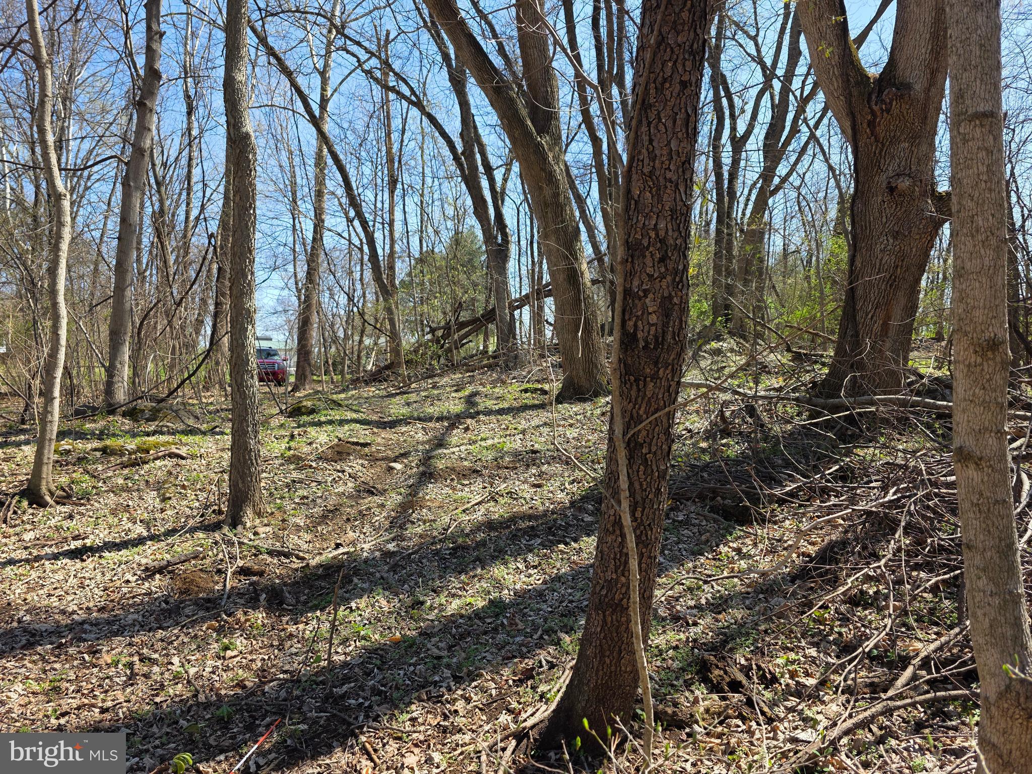 POTOMAC HILLS - Land