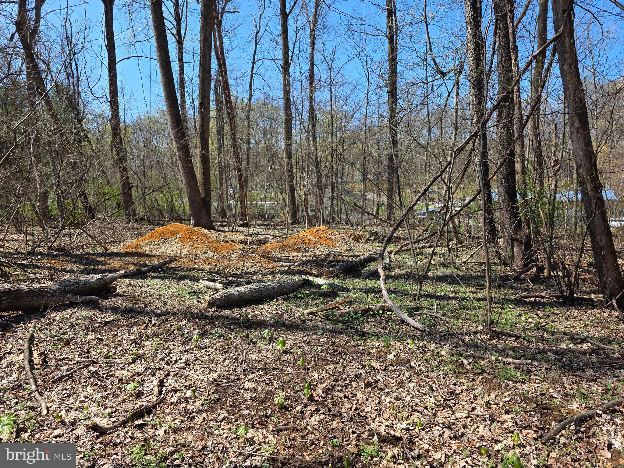 POTOMAC HILLS - Land