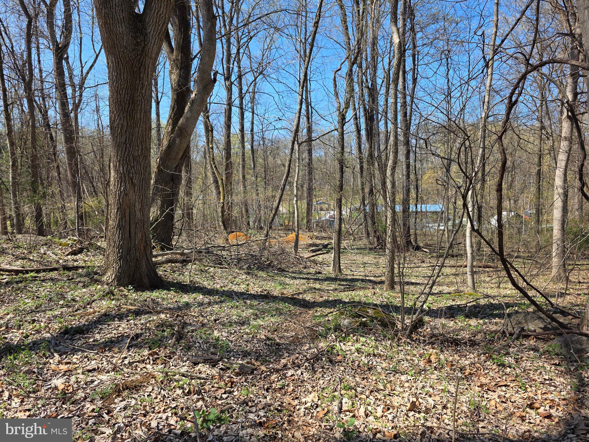 POTOMAC HILLS - Land