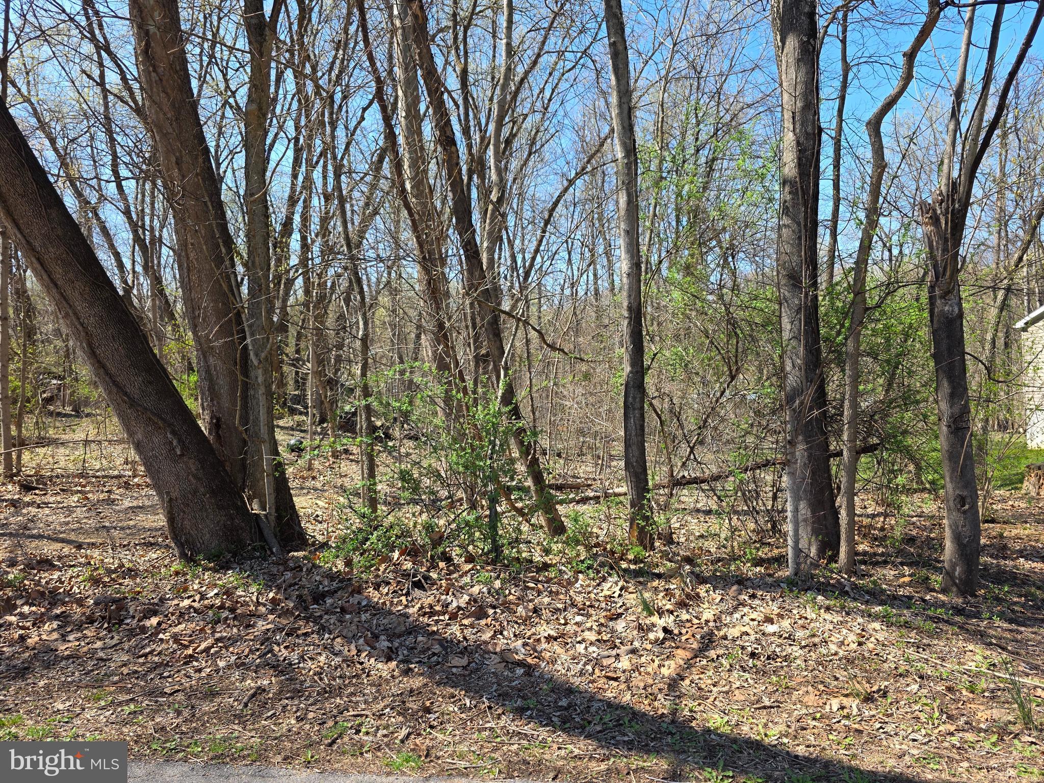 POTOMAC HILLS - Land