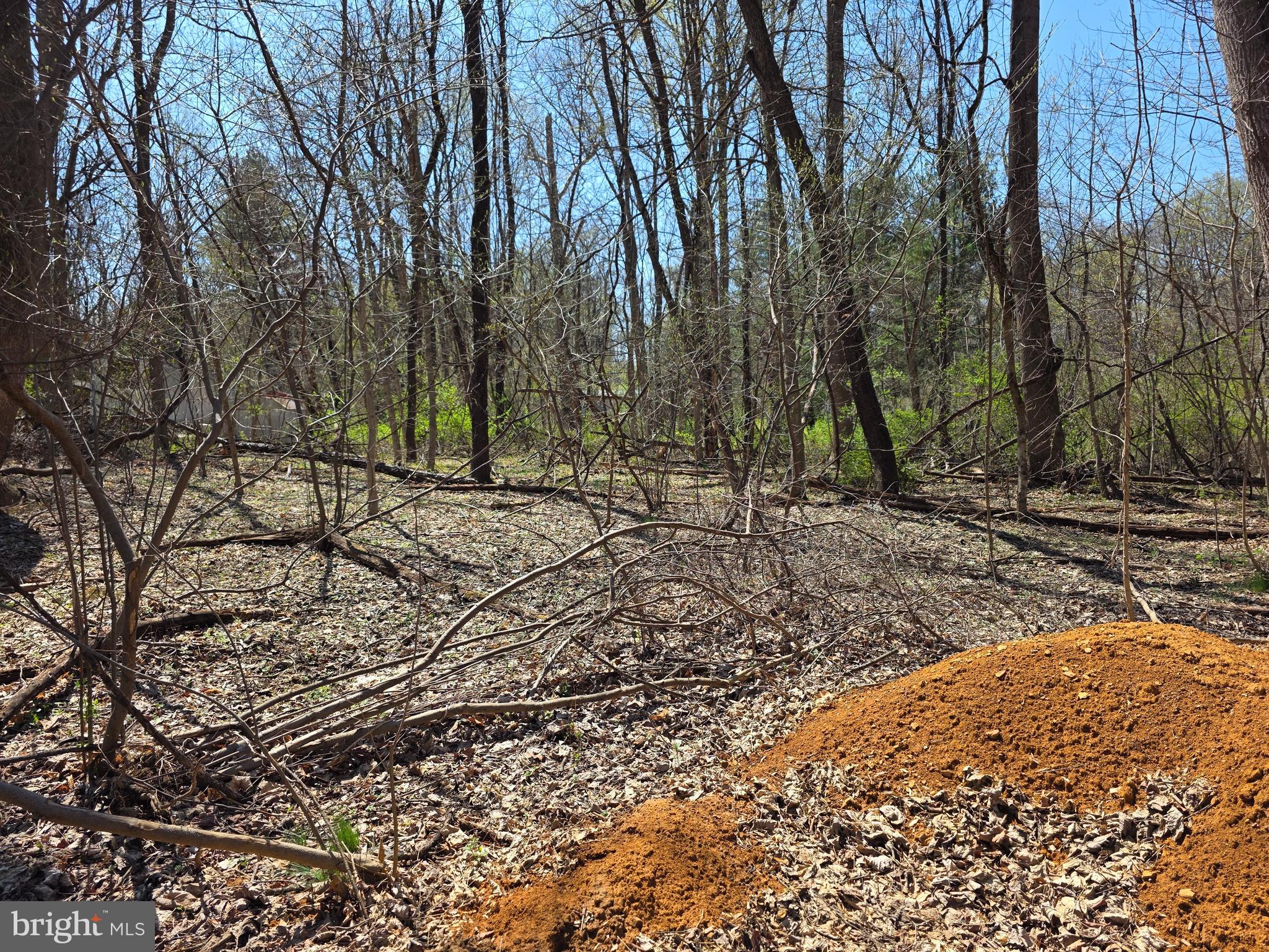 POTOMAC HILLS - Land