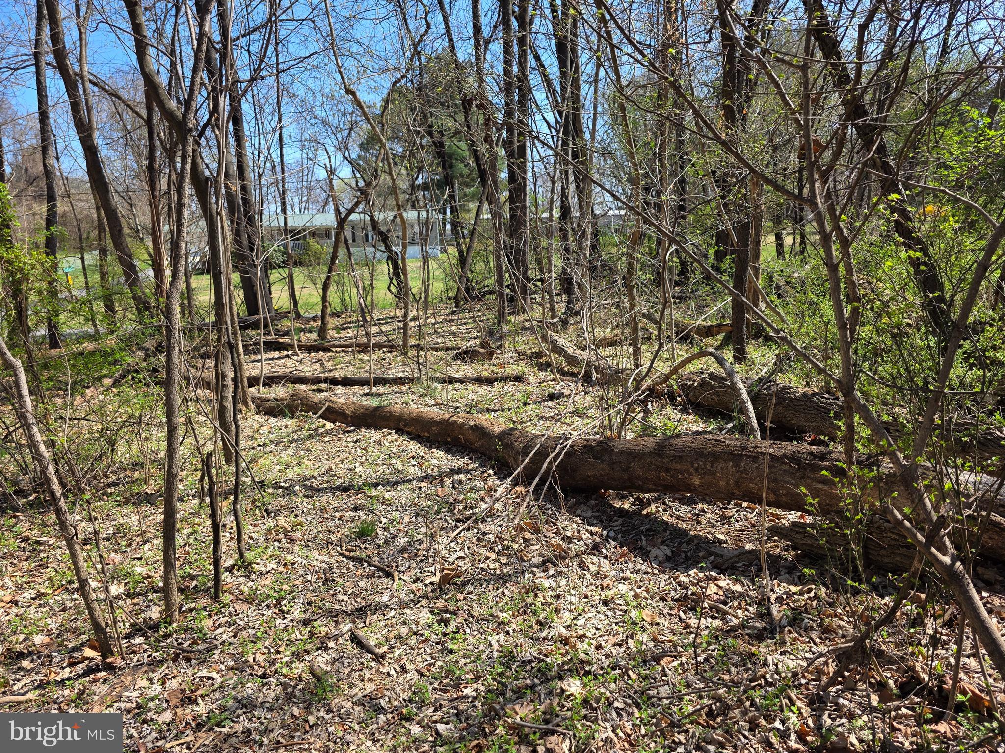 POTOMAC HILLS - Land