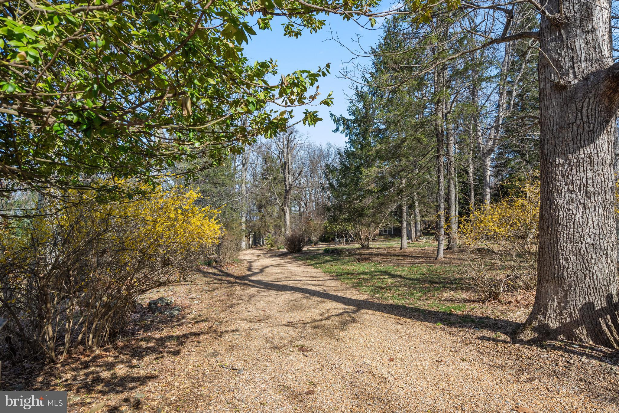 BLUEMONT - Residential