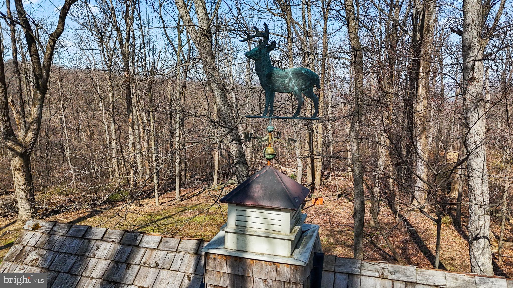 BLUEMONT - Residential