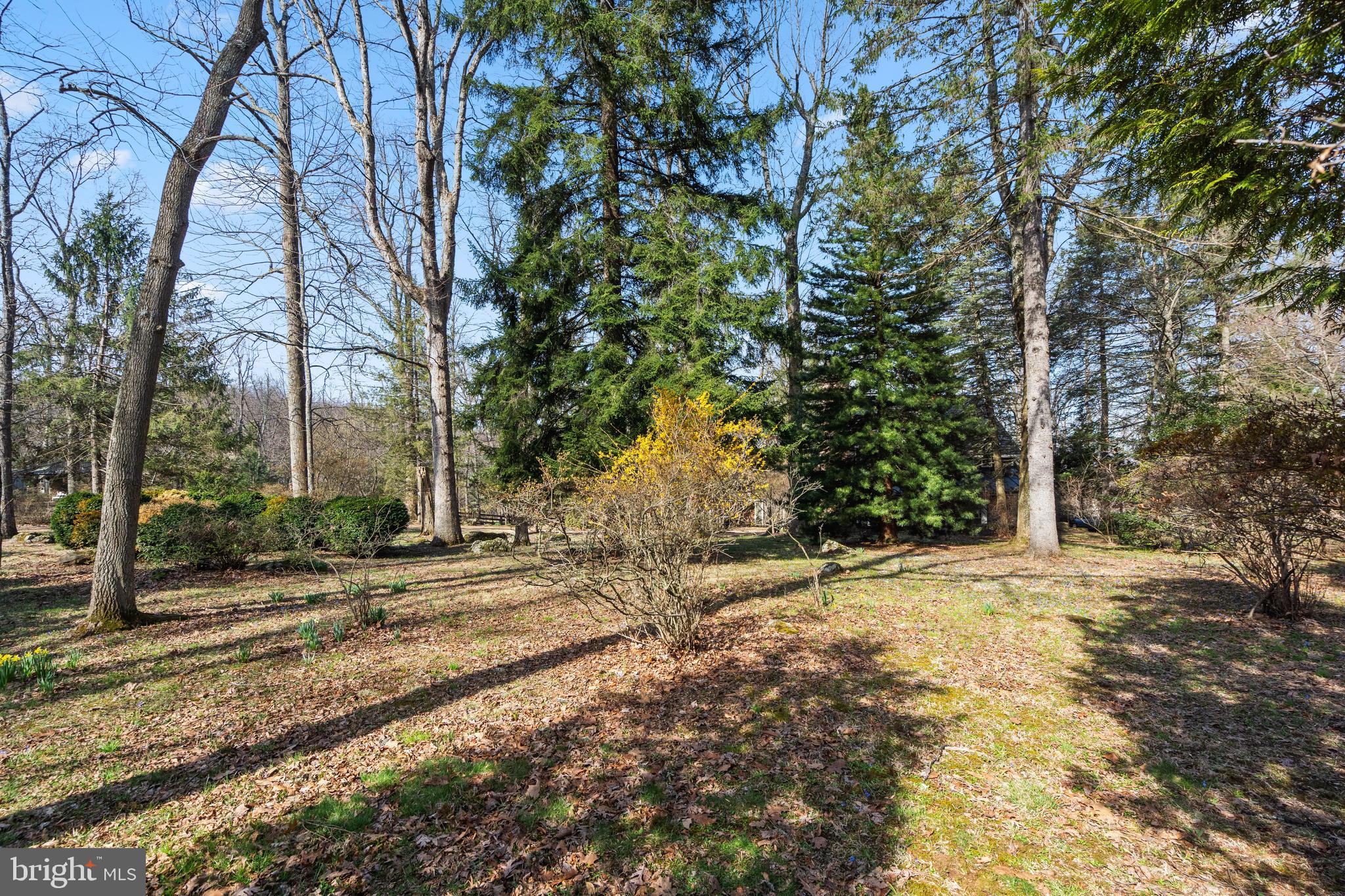 BLUEMONT - Residential