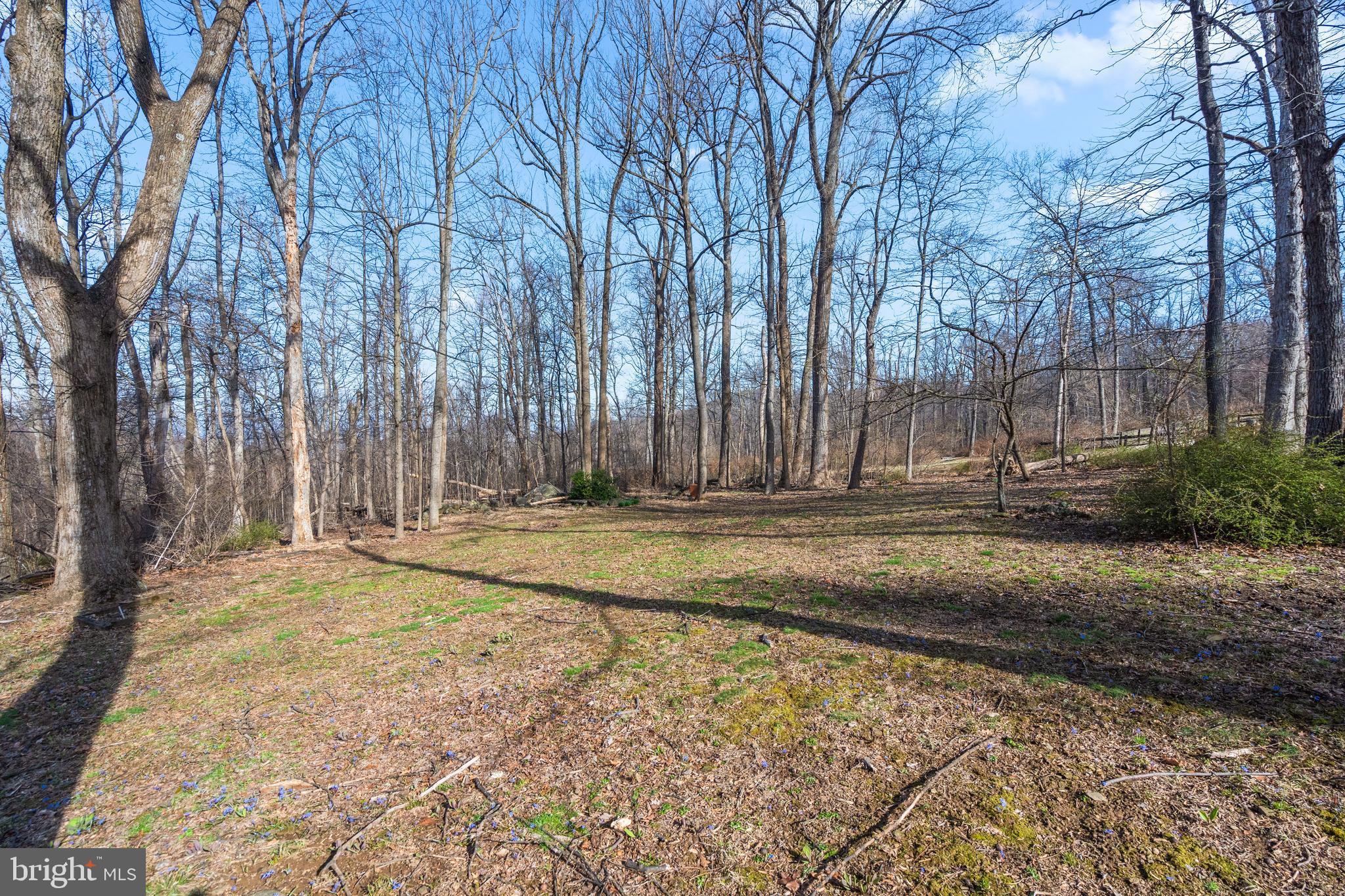 BLUEMONT - Residential