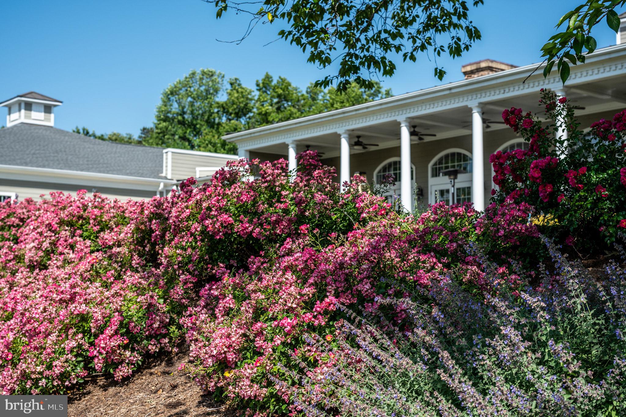 FAWN LAKE - Residential