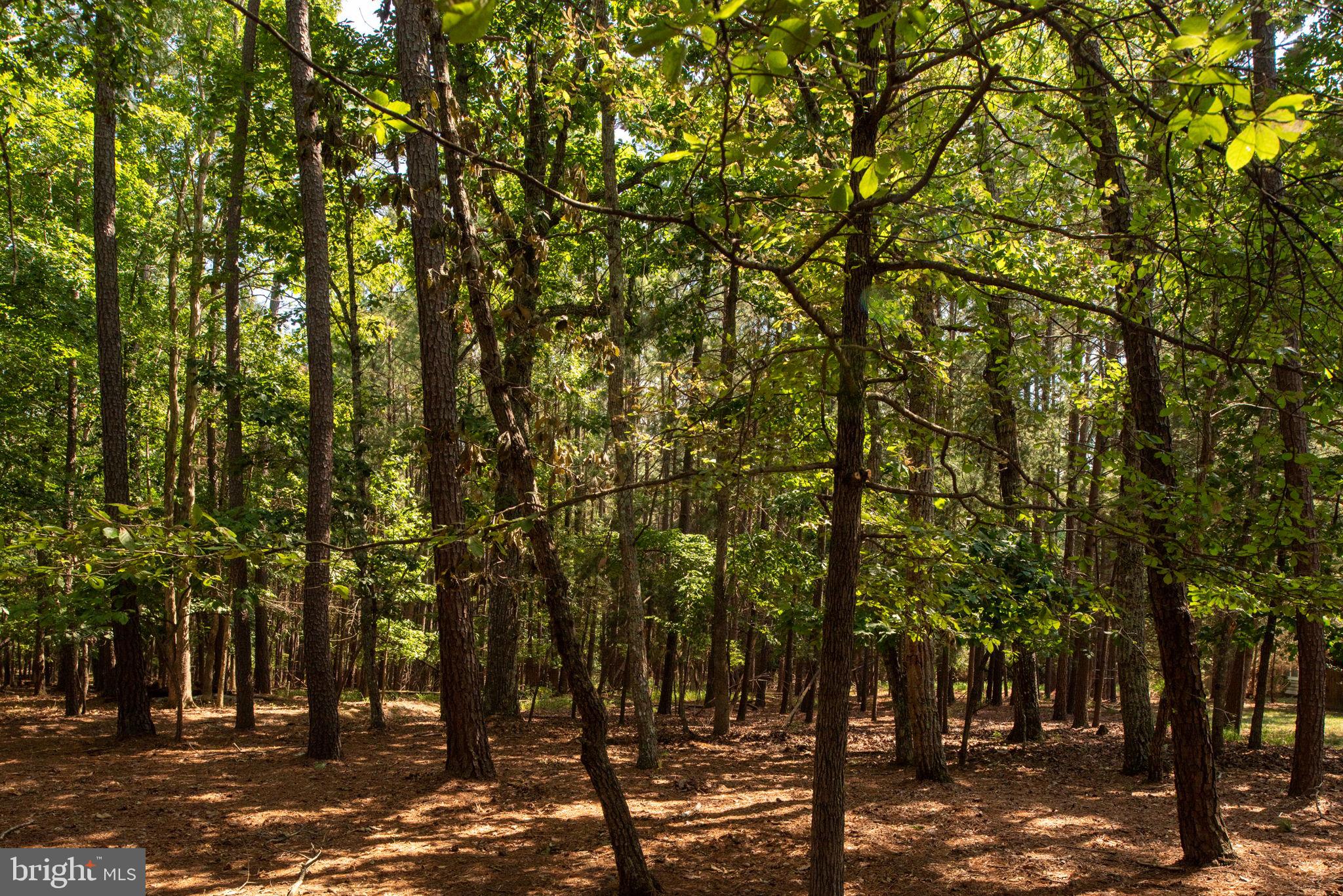 FAWN LAKE - Residential