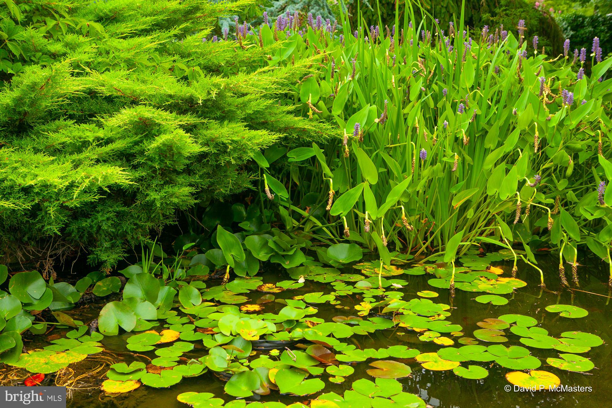 HARPERS FERRY CORPORATION - Residential