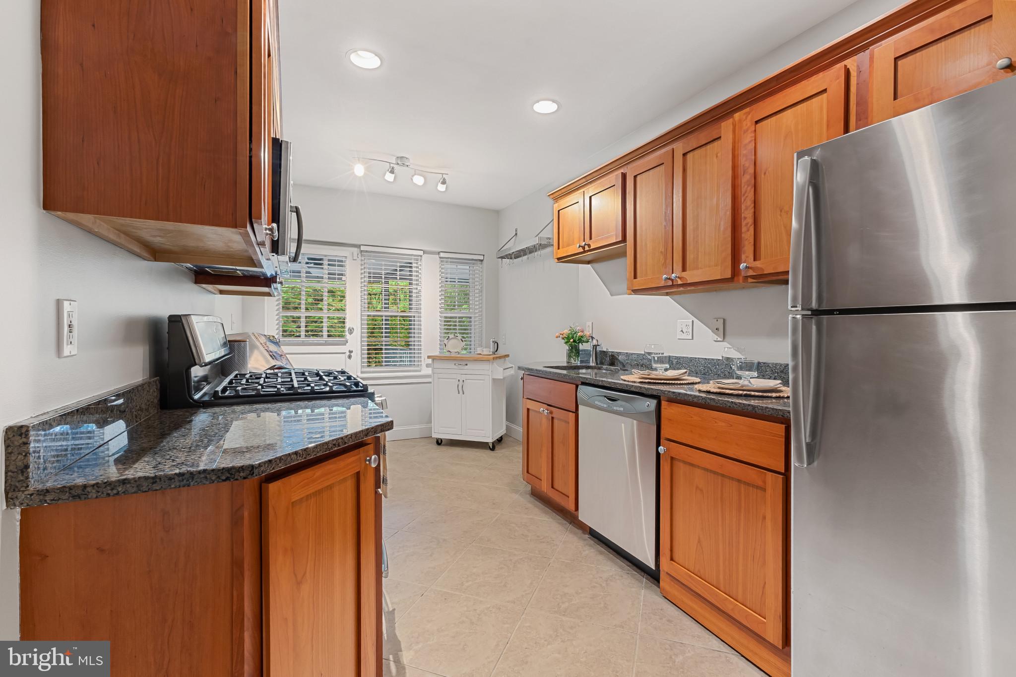 ROSEMONT STATION - Residential