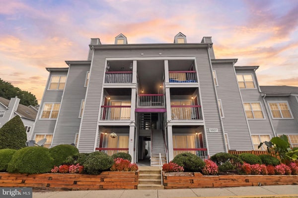 9907 BOYSENBERRY WAY APT 105, GAITHERSBURG, MD 20879 - Image 4f0d866c19feb9c8b6852974b8a42636/4009579807