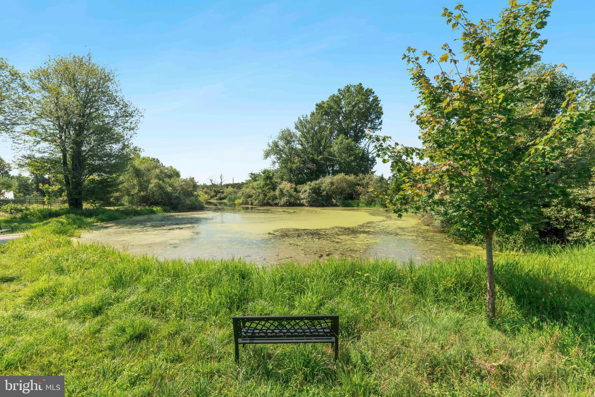 UPPER BLACK EDDY - Residential