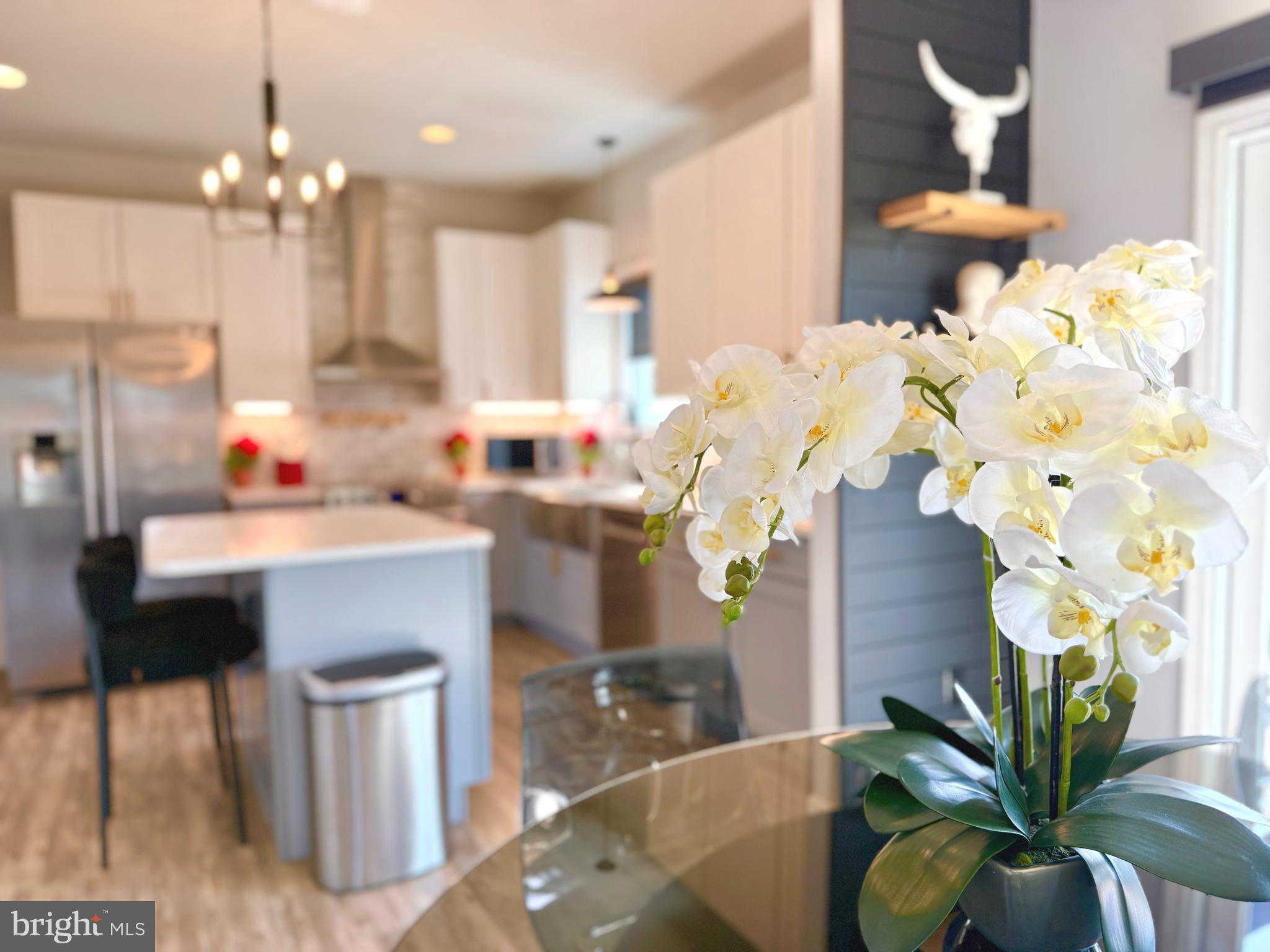 SHEPHERDSTOWN - Residential