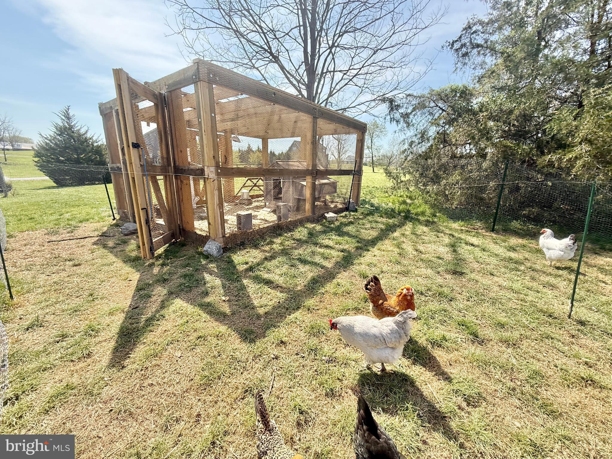 SHEPHERDSTOWN - Residential