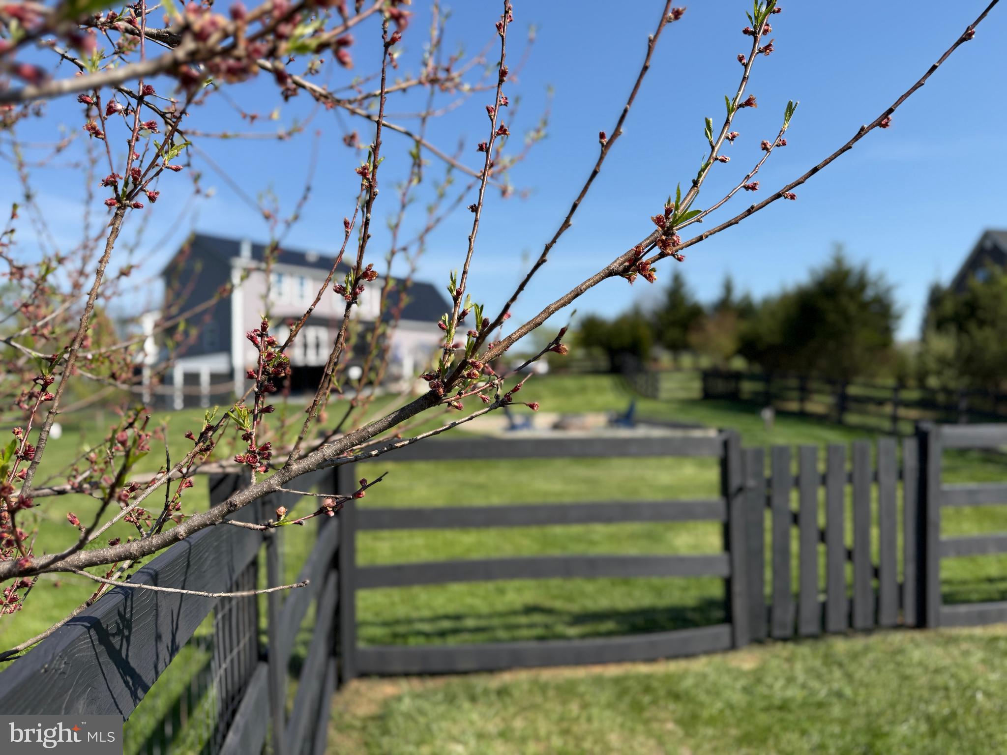 SHEPHERDSTOWN - Residential