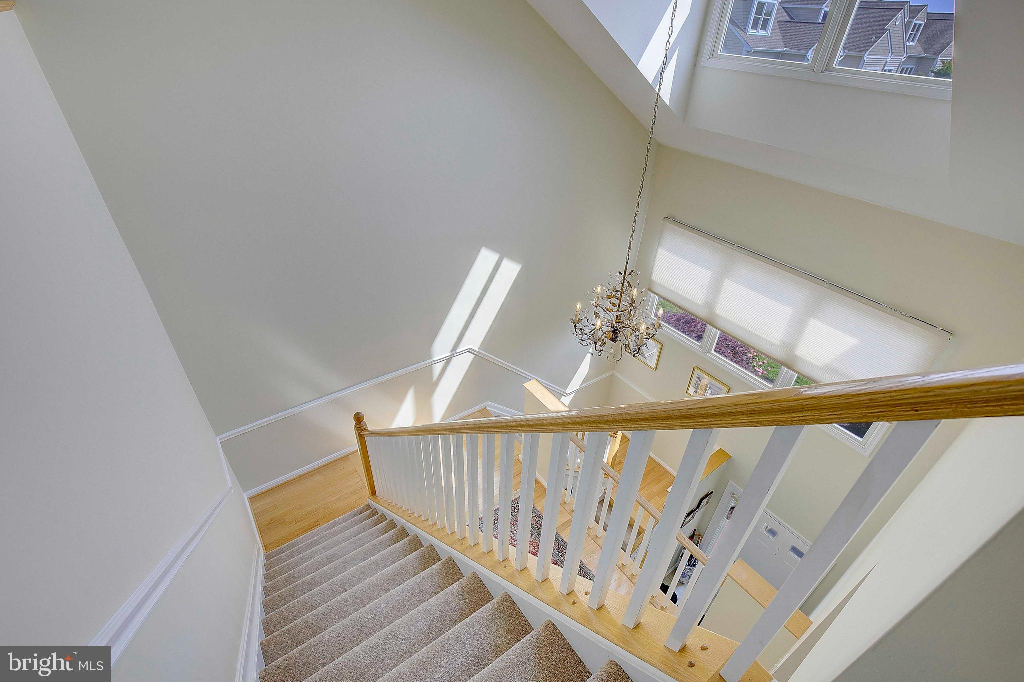 BAYSIDE - Residential