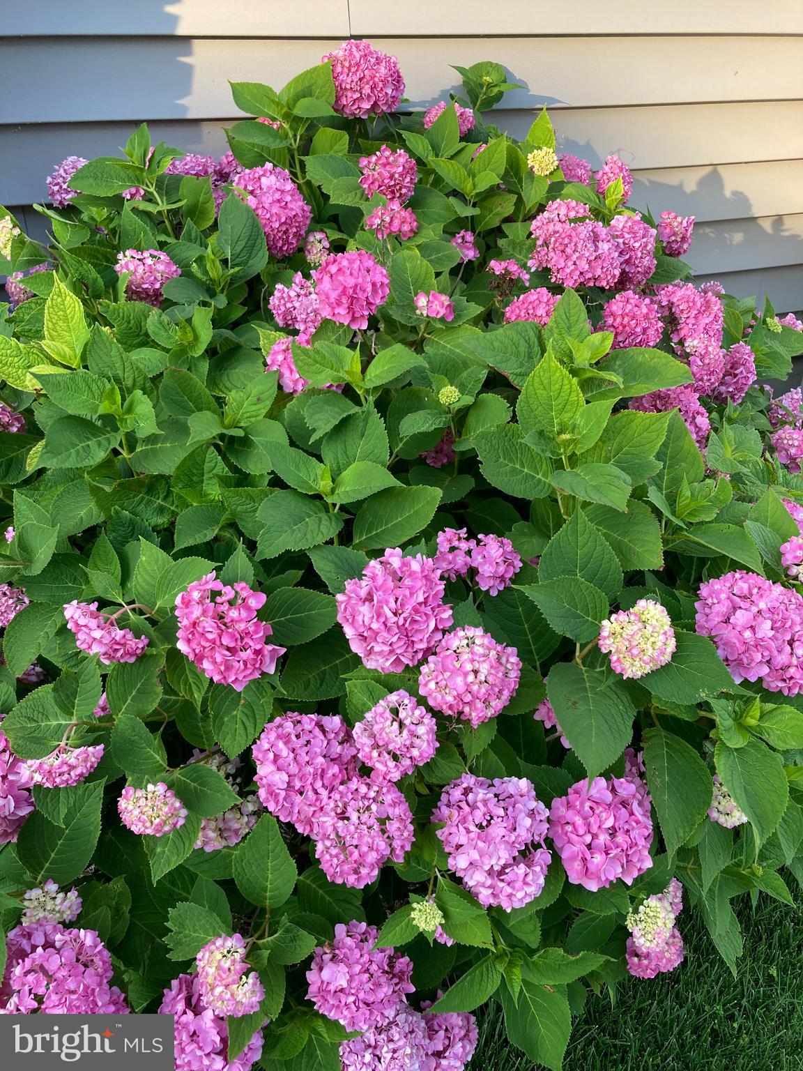 BOWLEYS QUARTERS - Residential