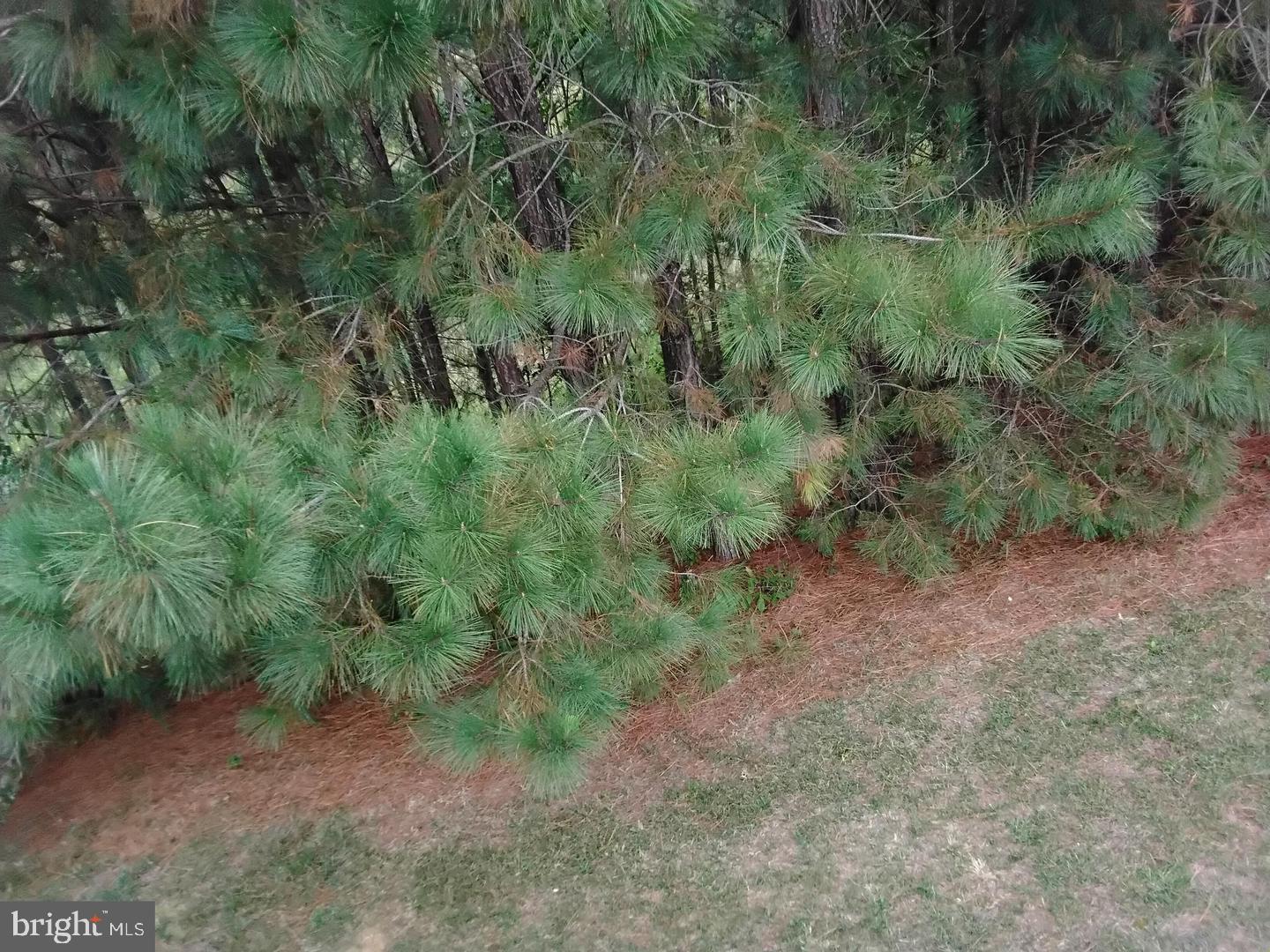 ADDITION TO GREENBRIER - Residential