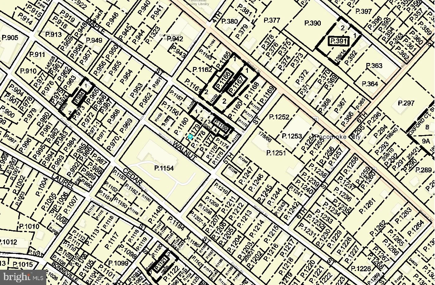 405, 407, 409 Walnut Street